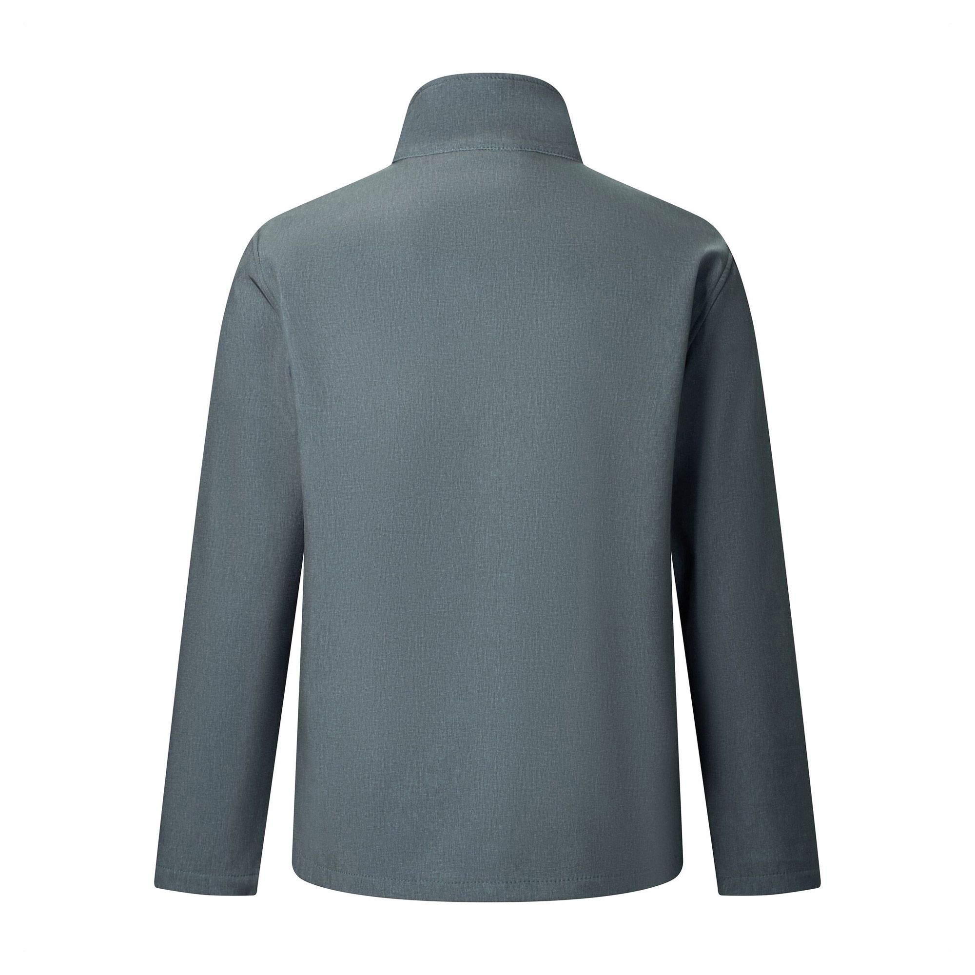 Veste Regatta Cera V Softshell Homme