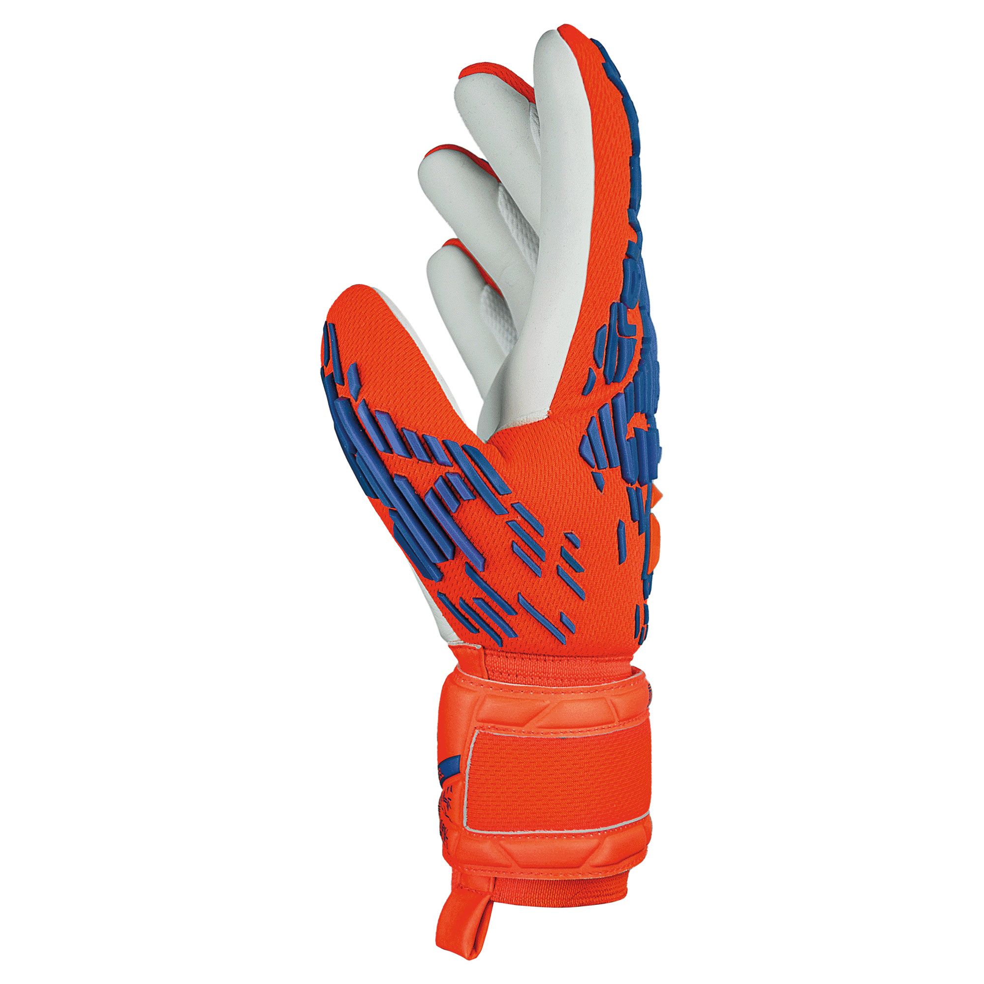 Gants de gardien Reusch Attrakt Freegel Silver