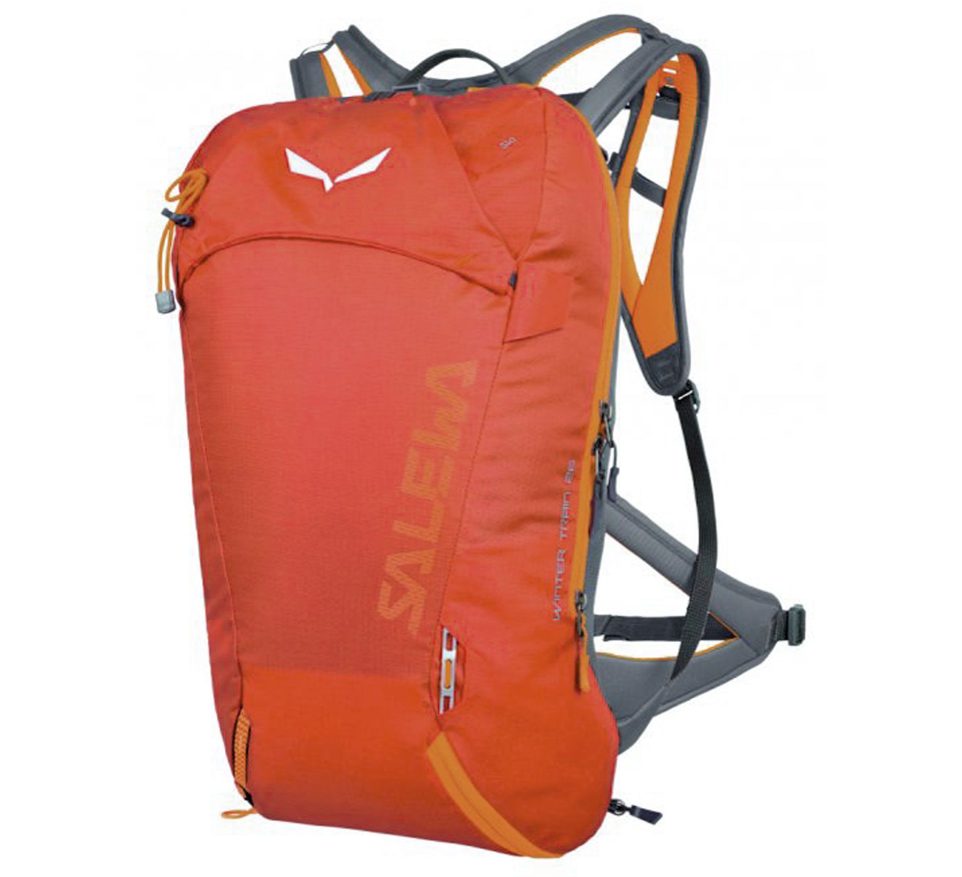 Salewa Winter Train (26L)