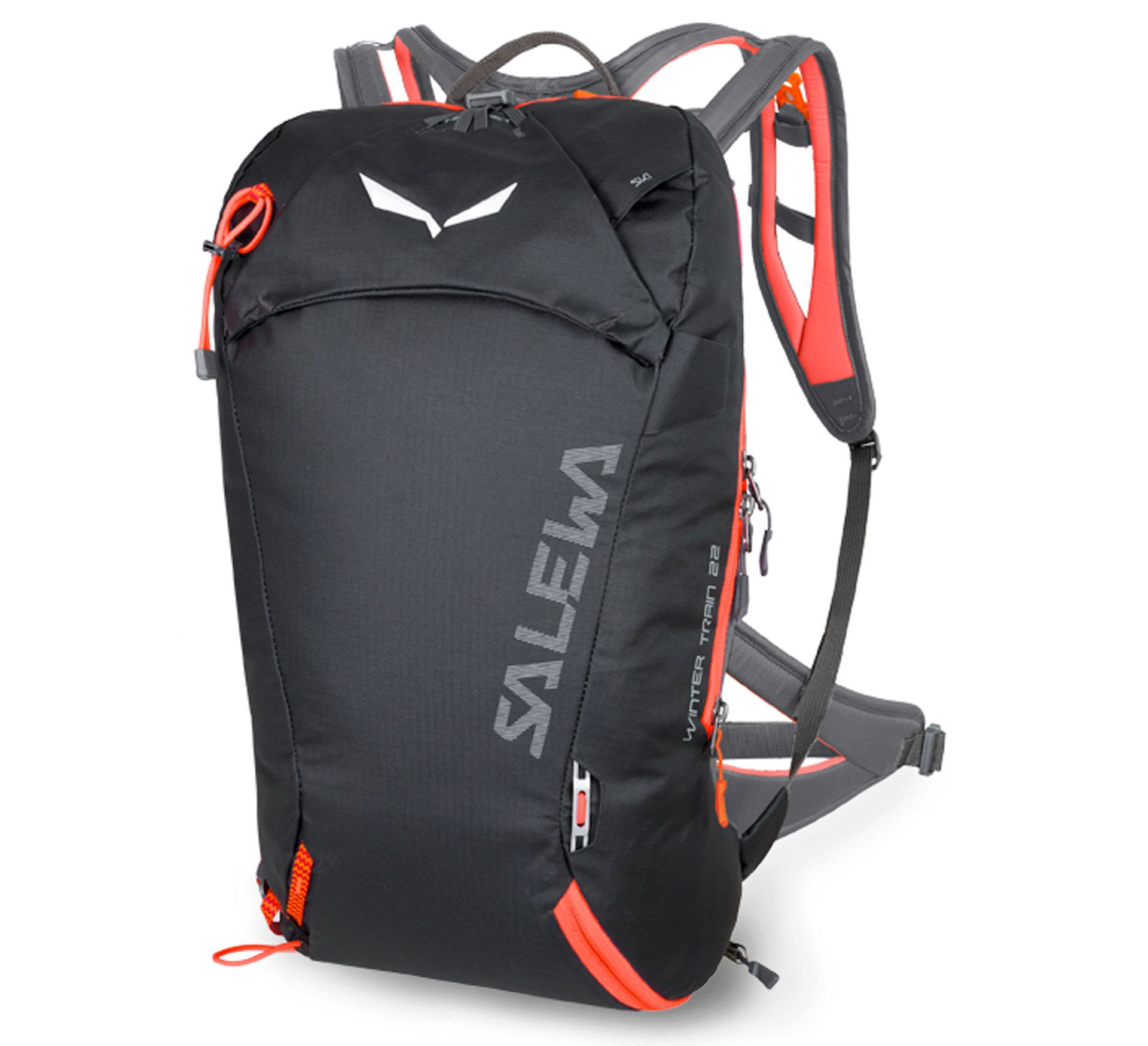 Salewa Winter Train Ws (22L)