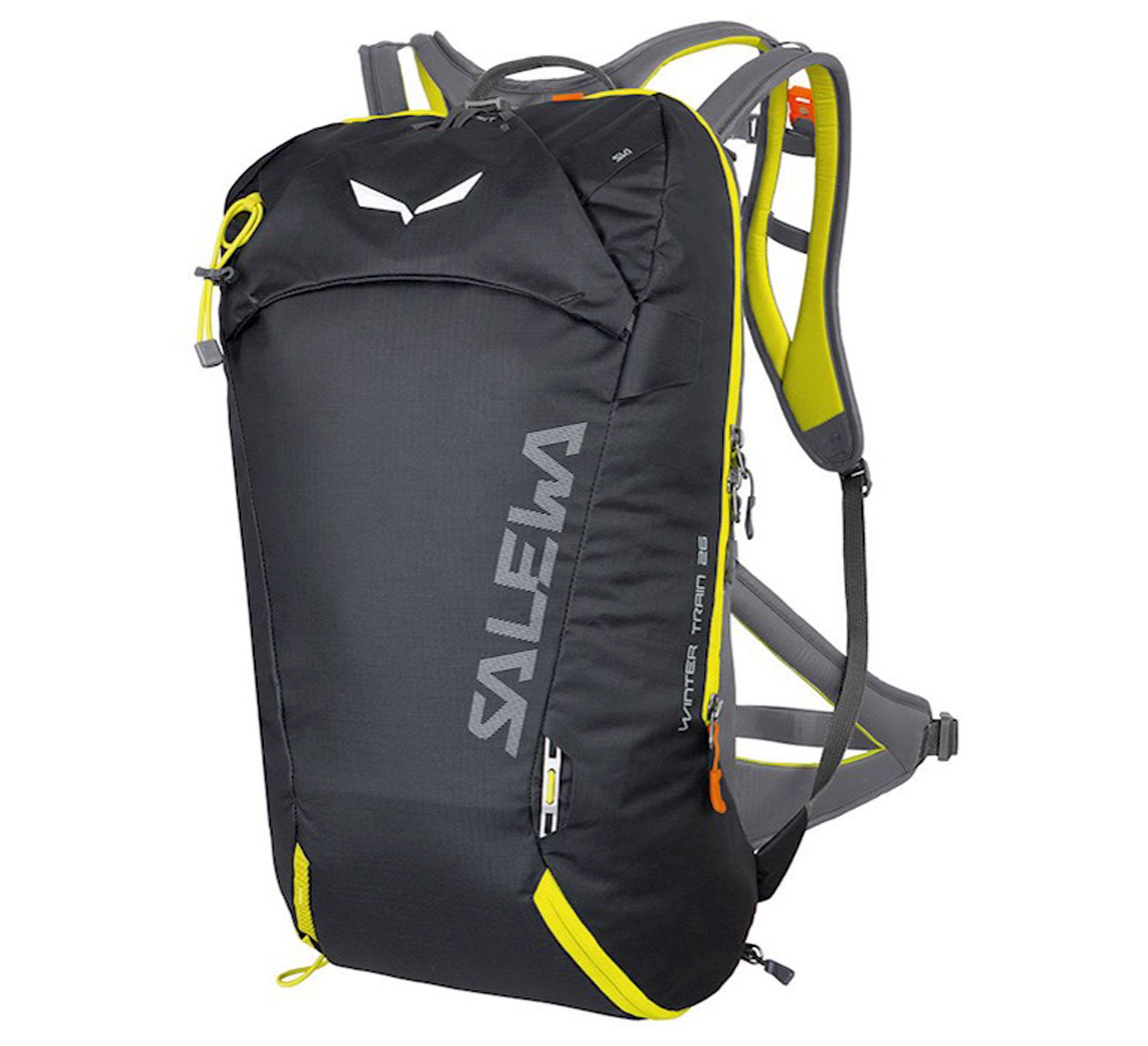 Salewa Winter Train (26L)