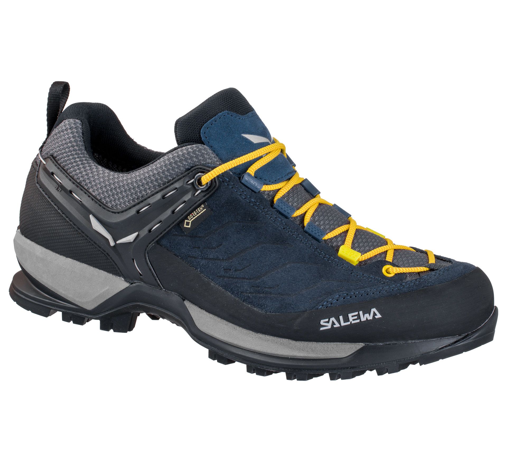 Salewa MTN Trainer GTX
