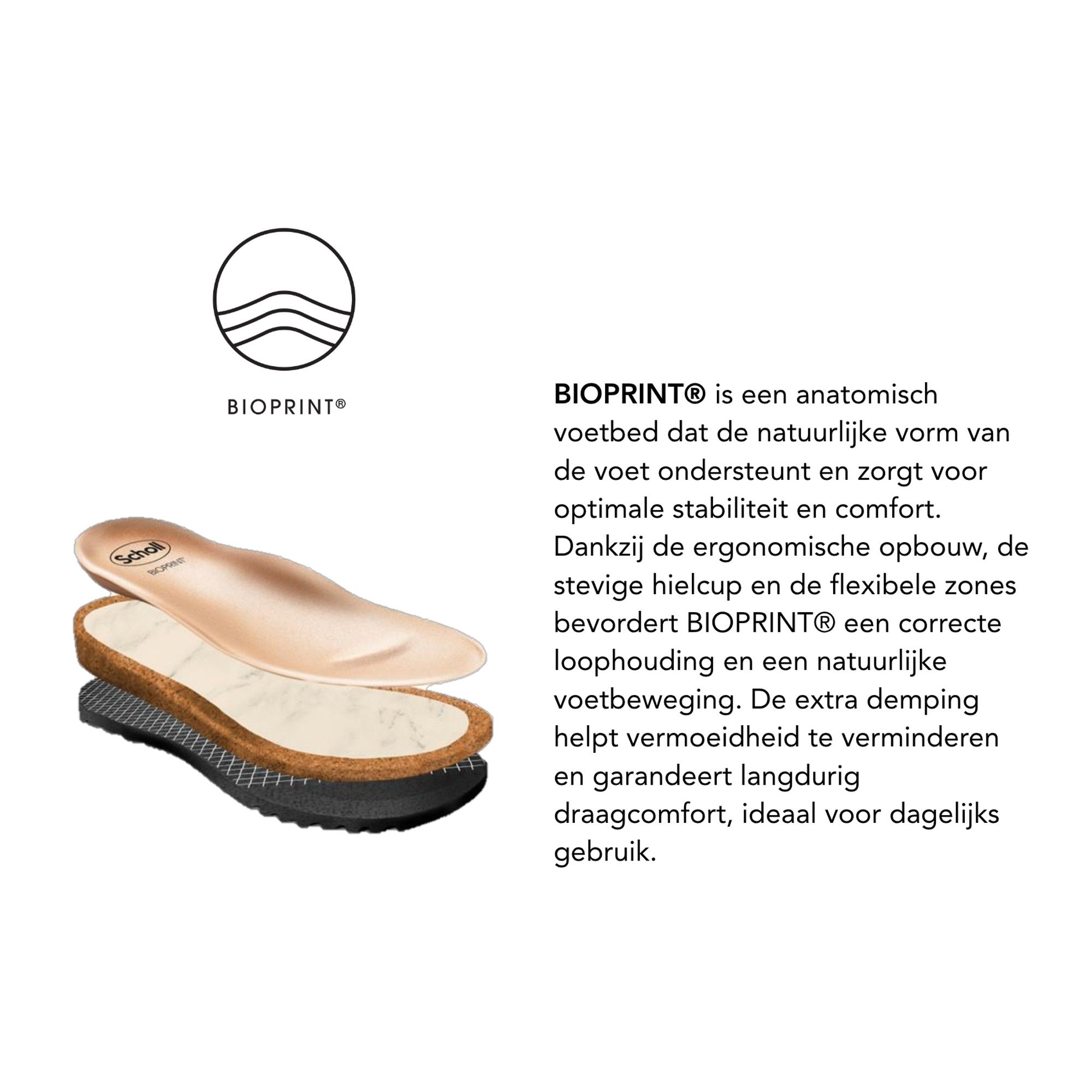 Scholl Monterey 2 Straps Slippers Dames