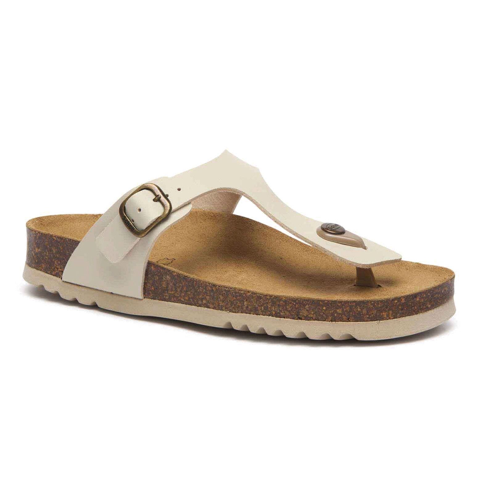 Scholl