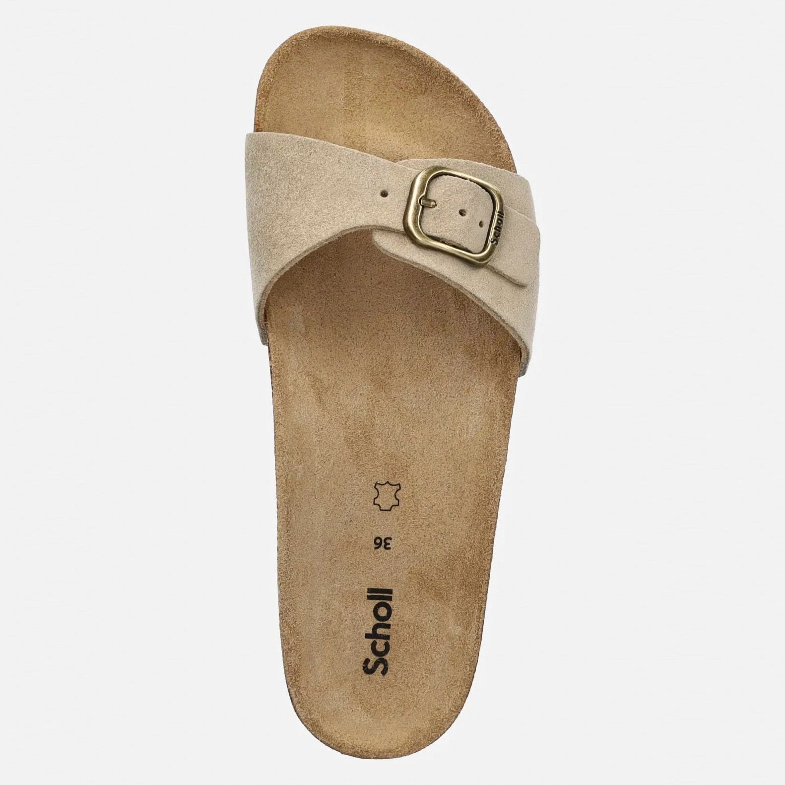 Scholl Estelle Slipper Dames