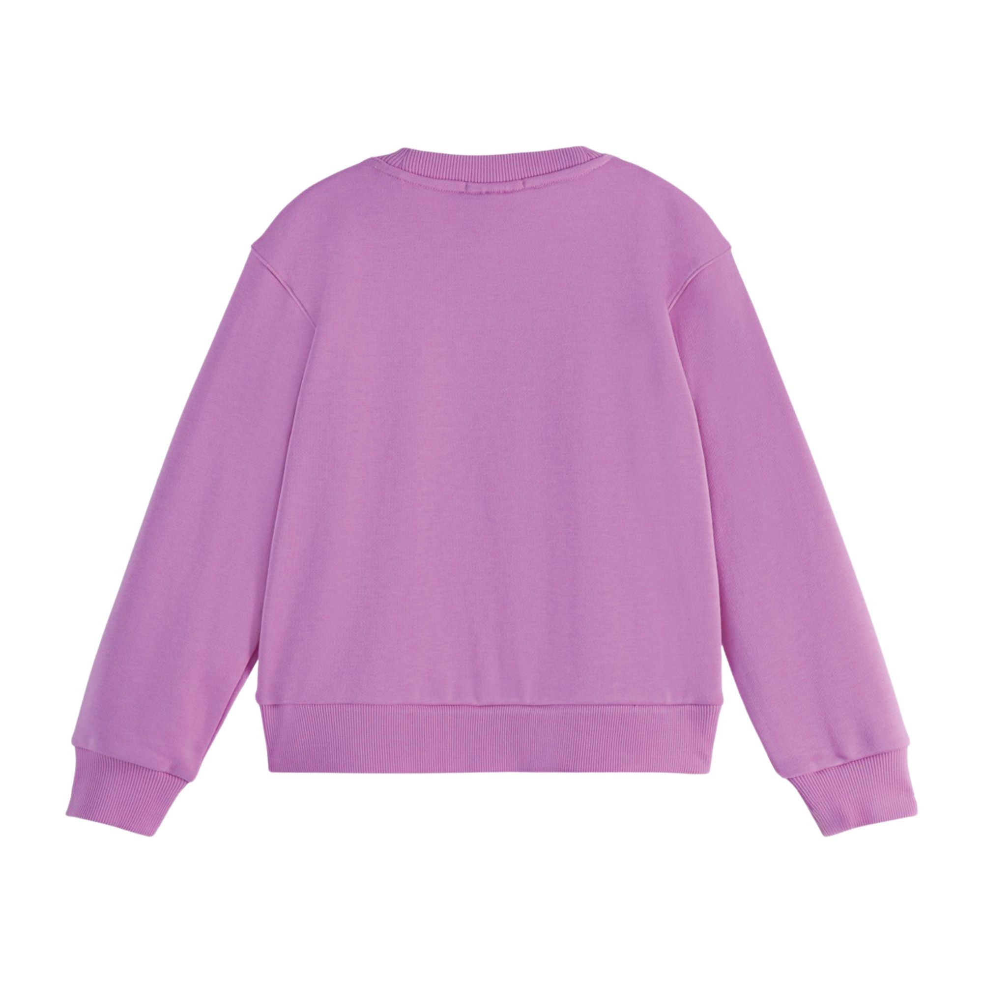 Scotch & Soda Sweater Junior