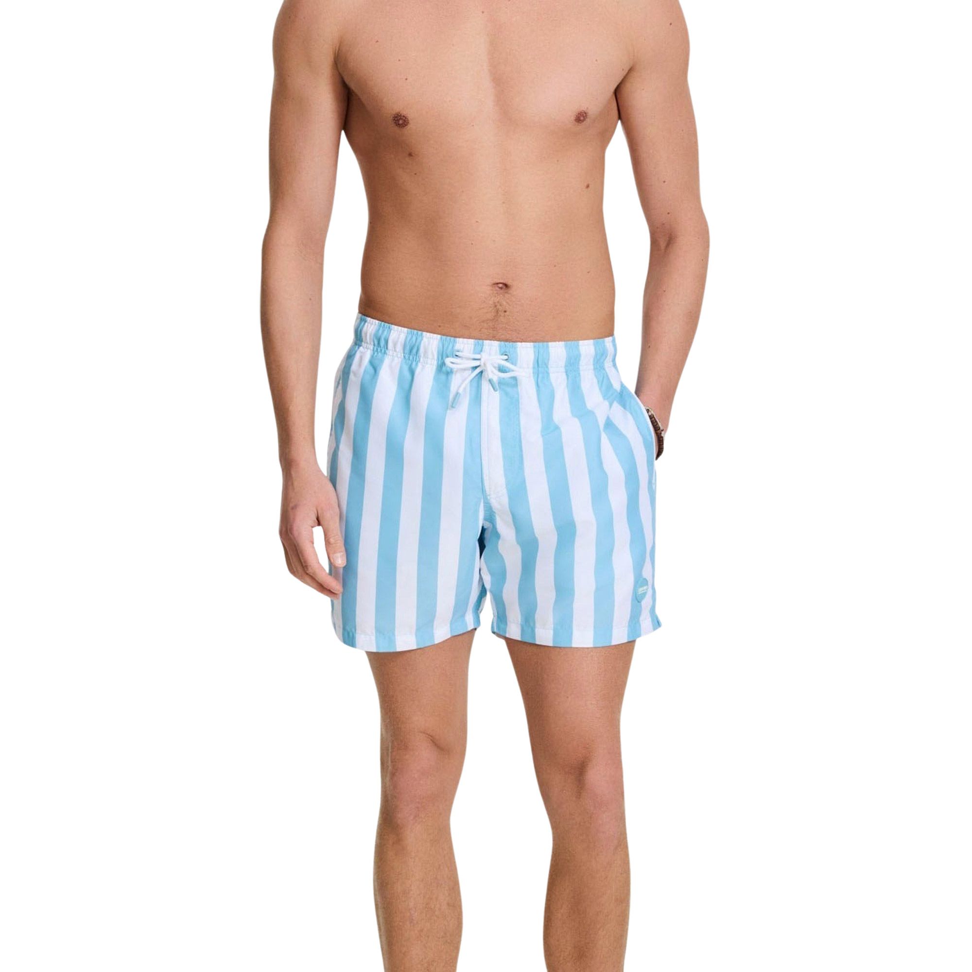 Shiwi Broad Stripe Zwemshort Heren