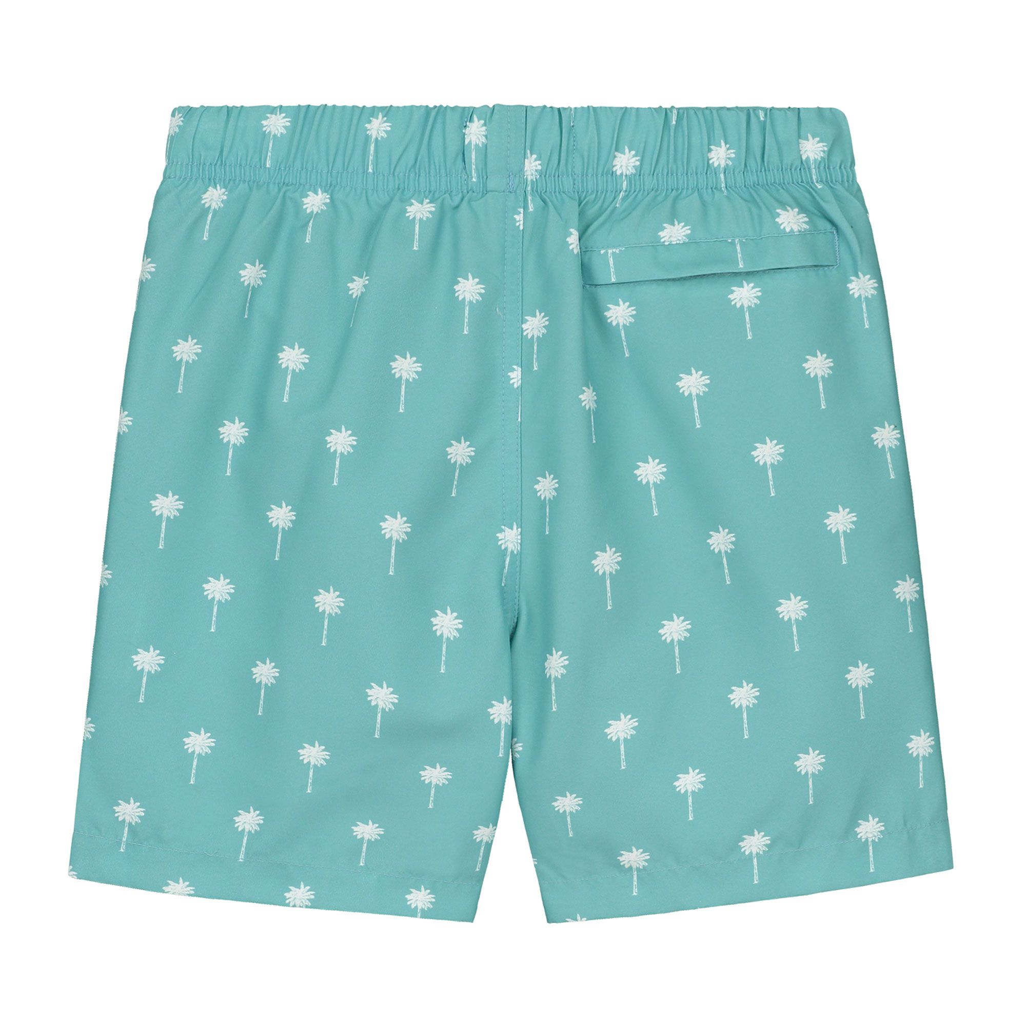 Shiwi Scratched Shiwi Palm Zwemshort Junior