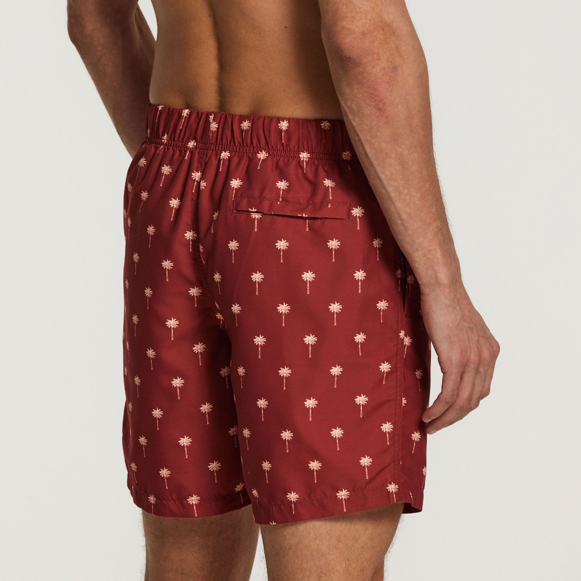 Shiwi Scratched Shiwi Palm Zwemshort Heren