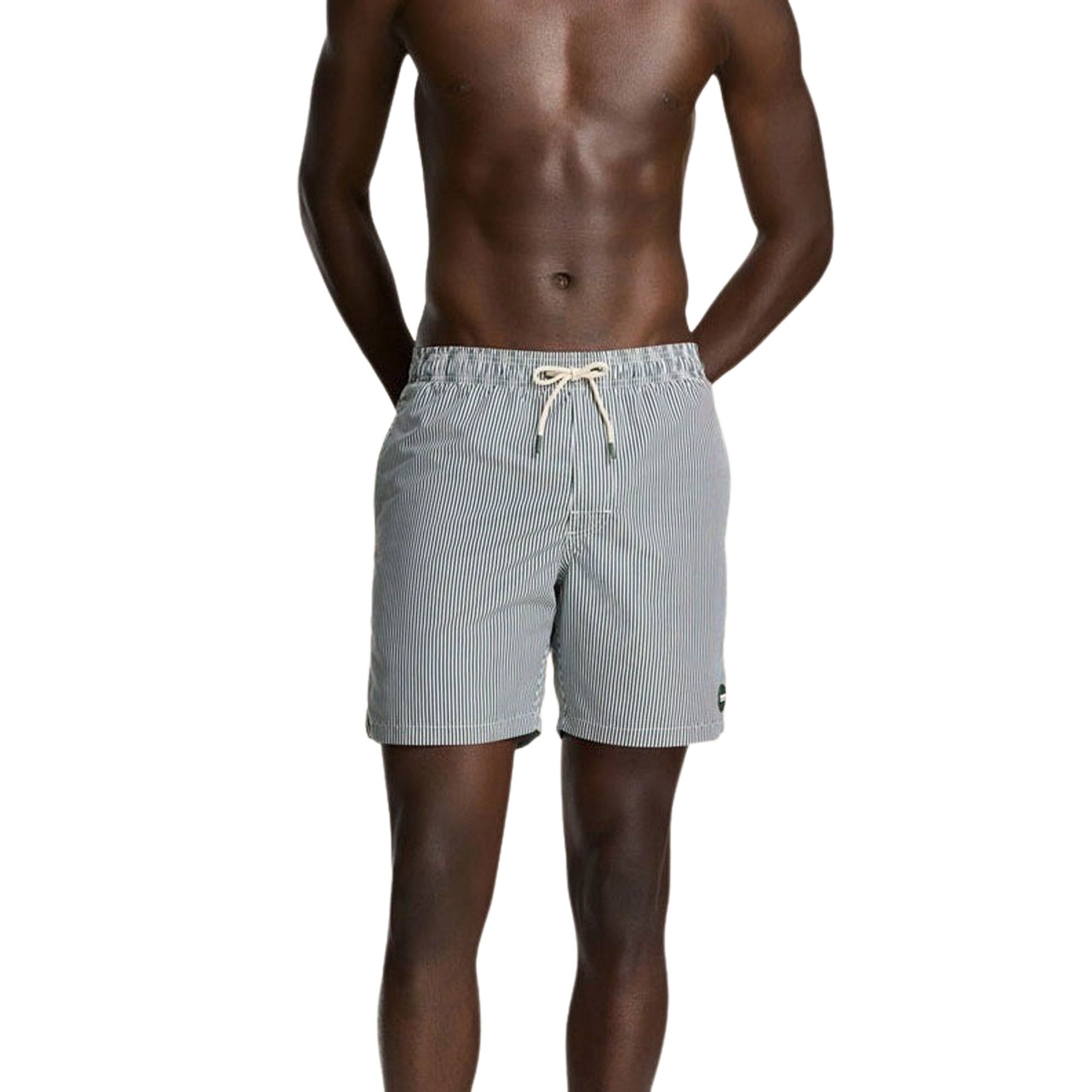 Shiwi Fine Stripe Zwemshort Heren