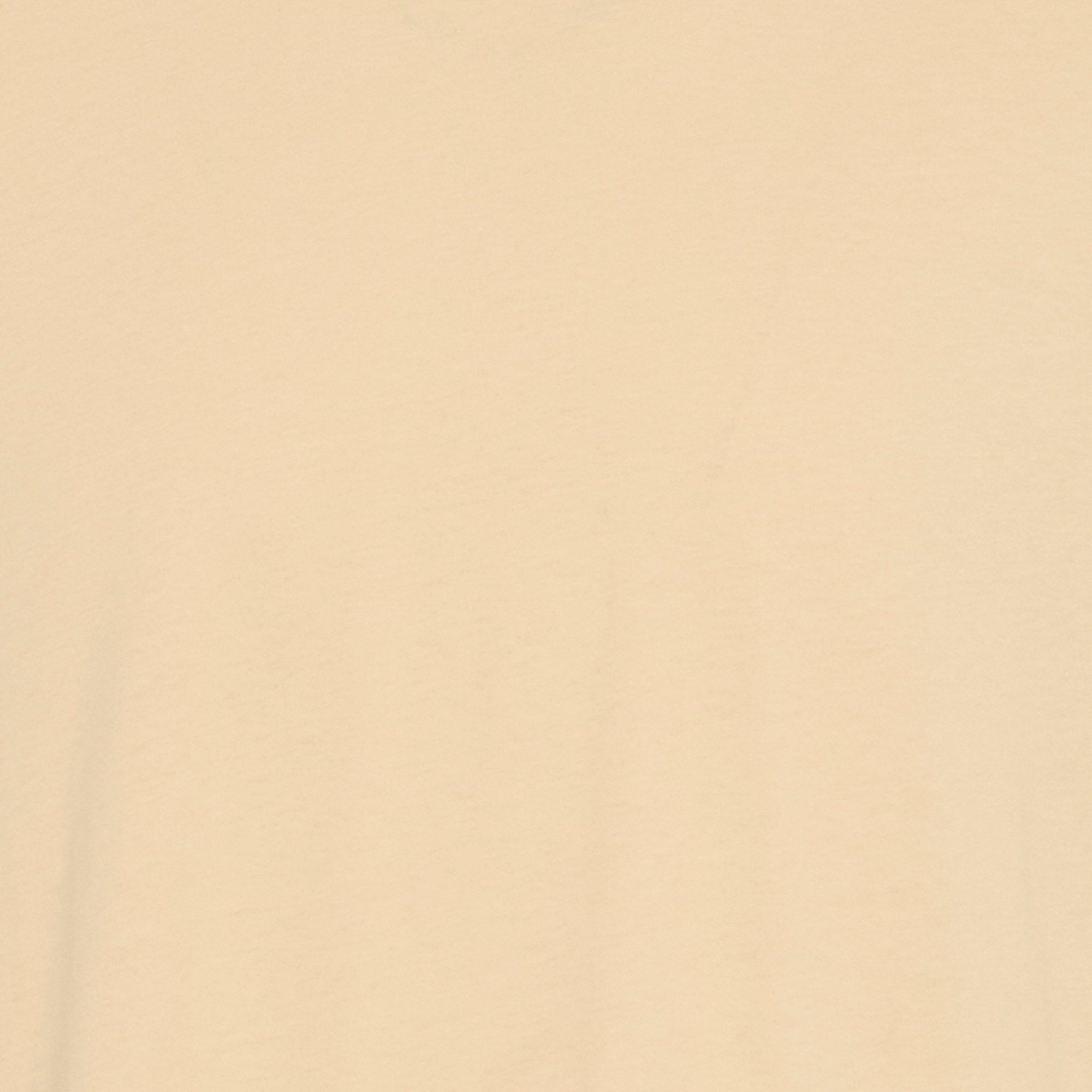 Solid Pehr Shirt Heren