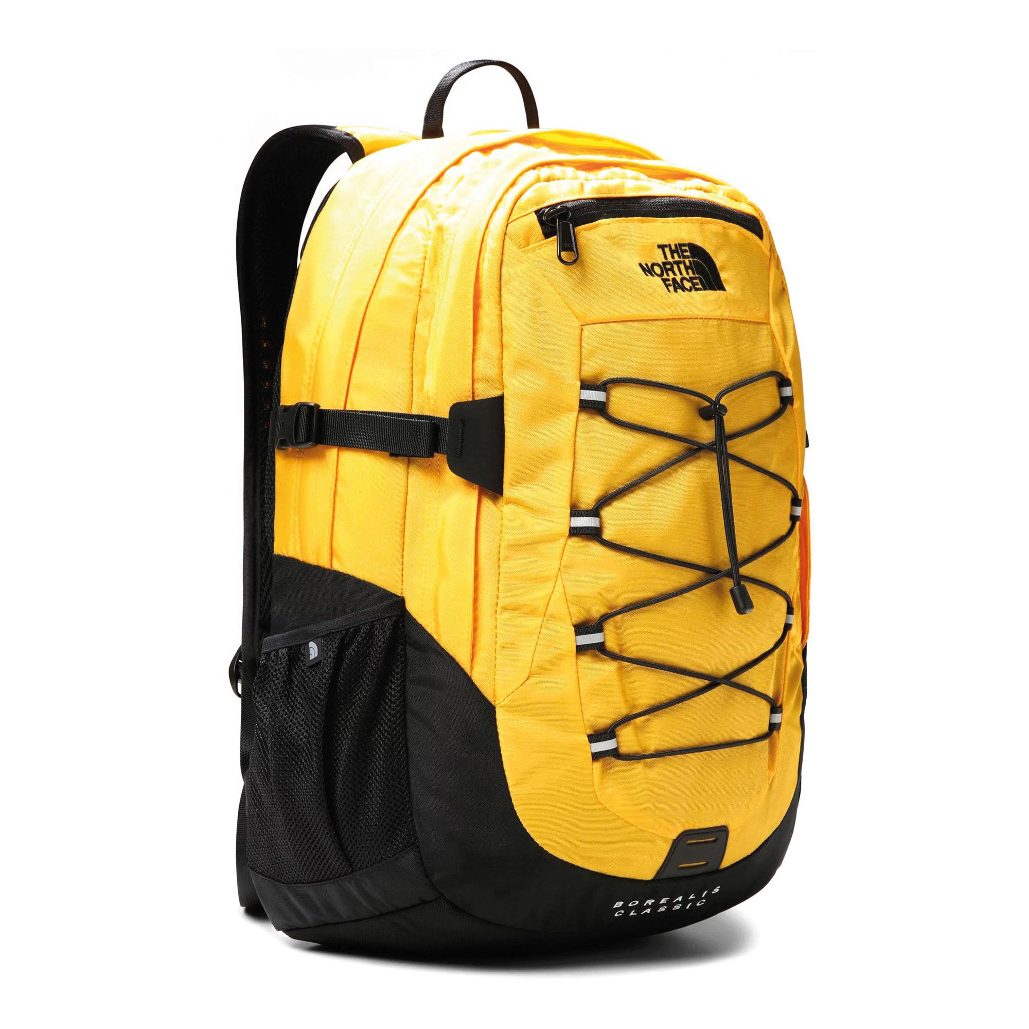 The North Face Borealis Classic Rugtas (29L)