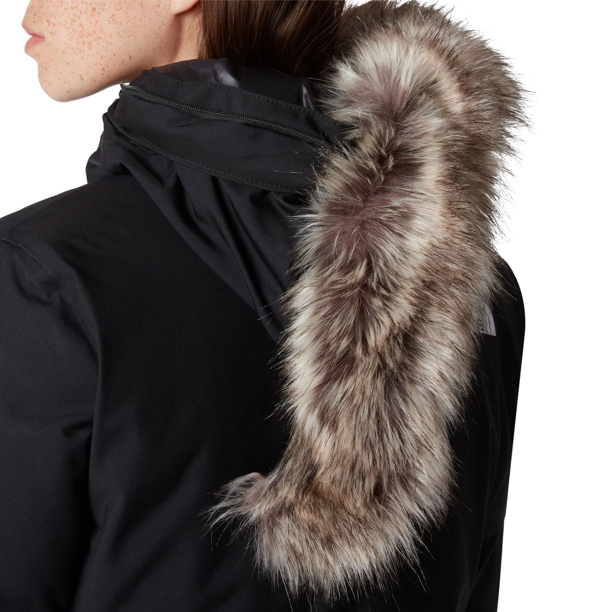 Manteau d'hiver The North Face Arctic Parka