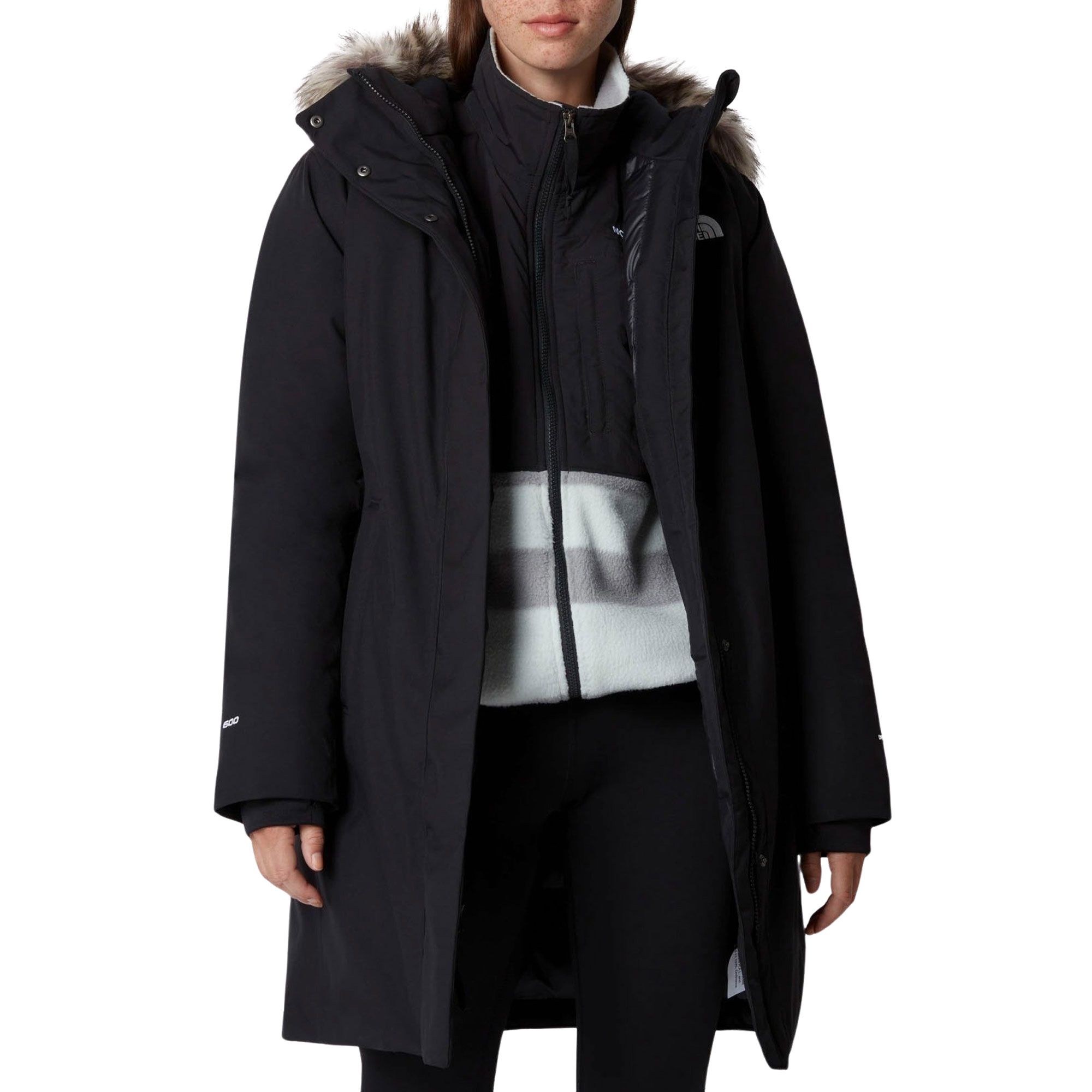 Manteau d'hiver The North Face Arctic Parka