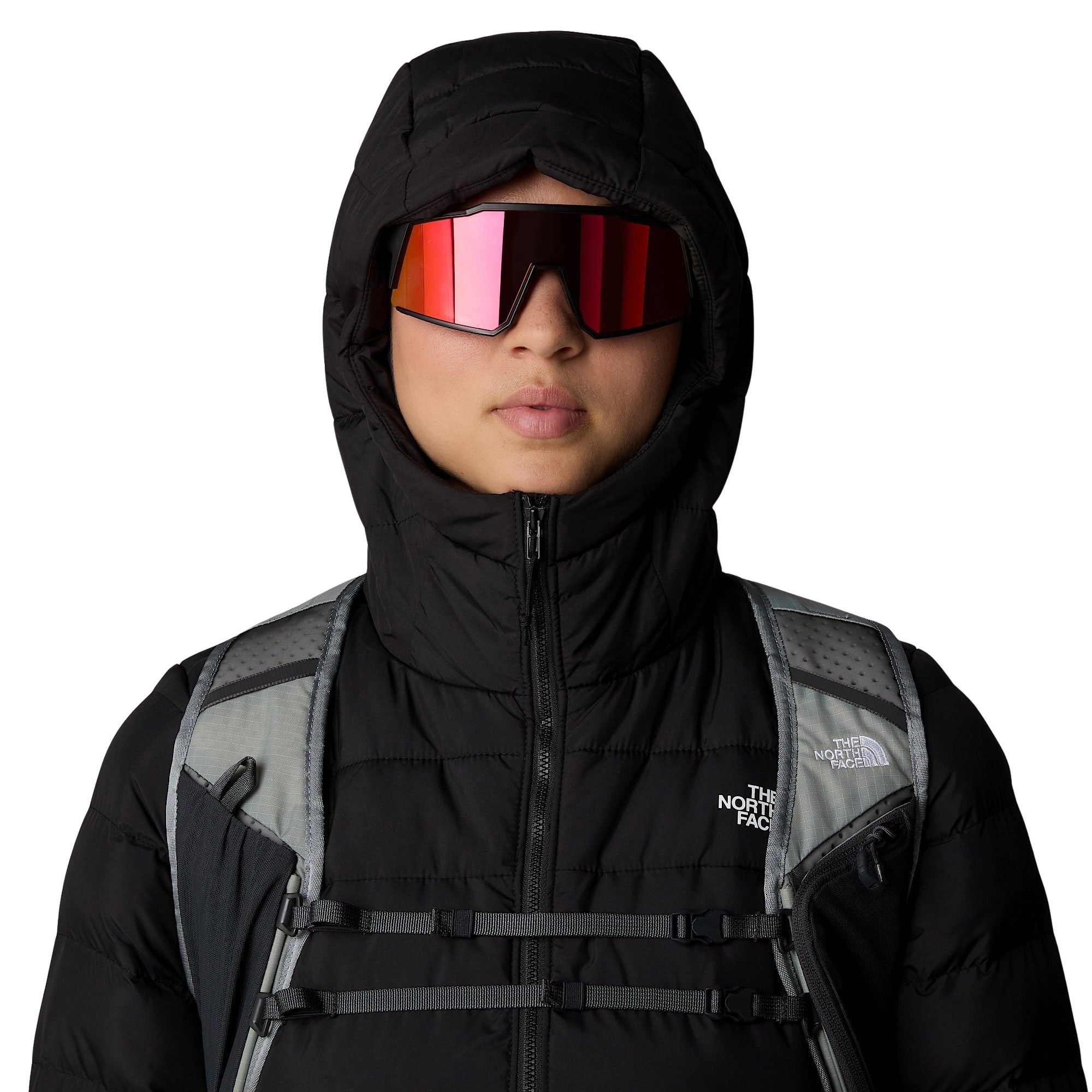The North Face Aconcagua III Hooded Winterjas Dames