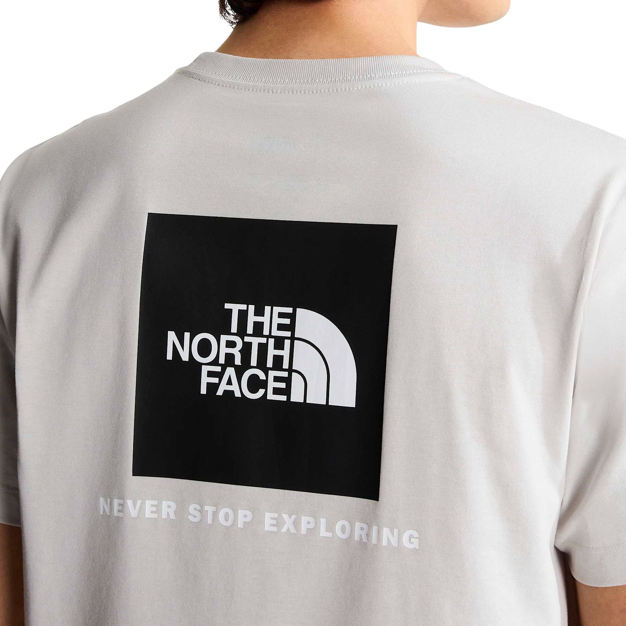 T-shirt The North Face Evolution Box Hommes