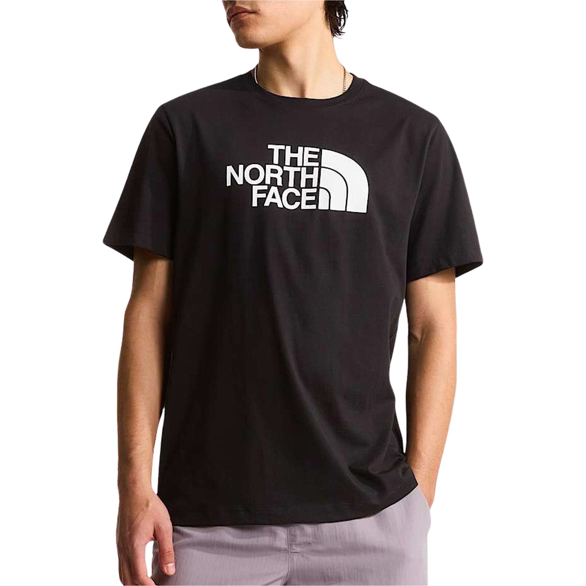 The North Face Evolution Half Dome T-Shirt Heren