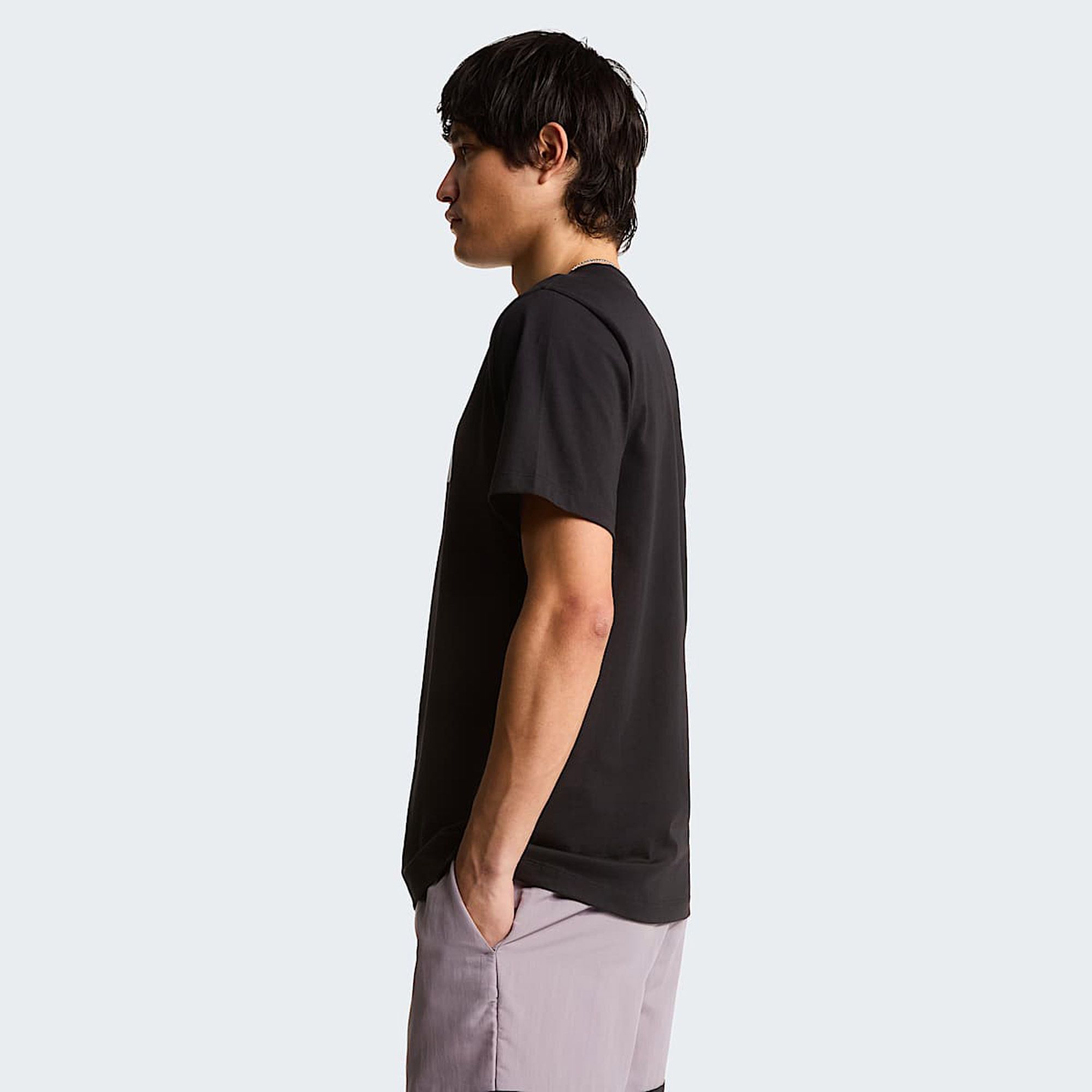 The North Face Evolution Half Dome T-Shirt Heren