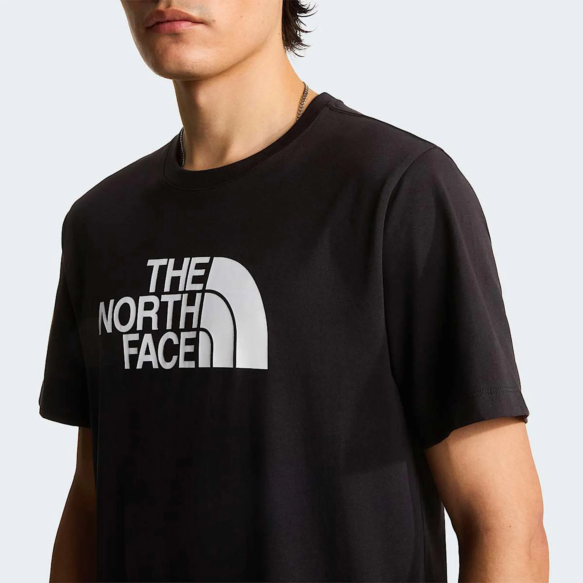 The North Face Evolution Half Dome T-Shirt Heren