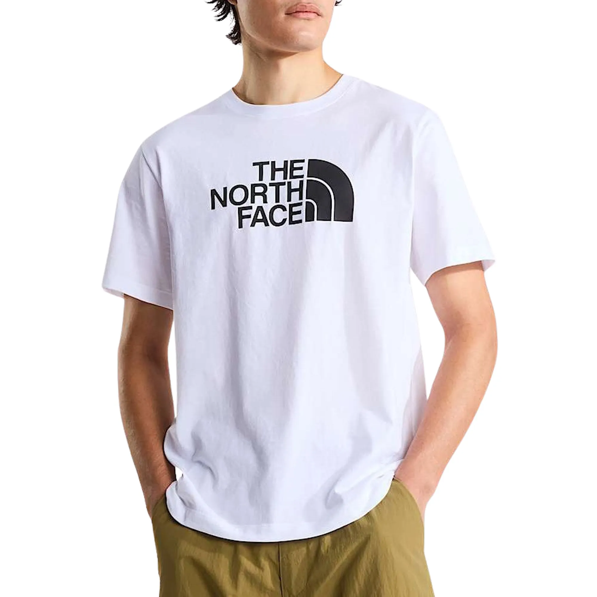 The North Face Evolution Half Dome T-Shirt Heren