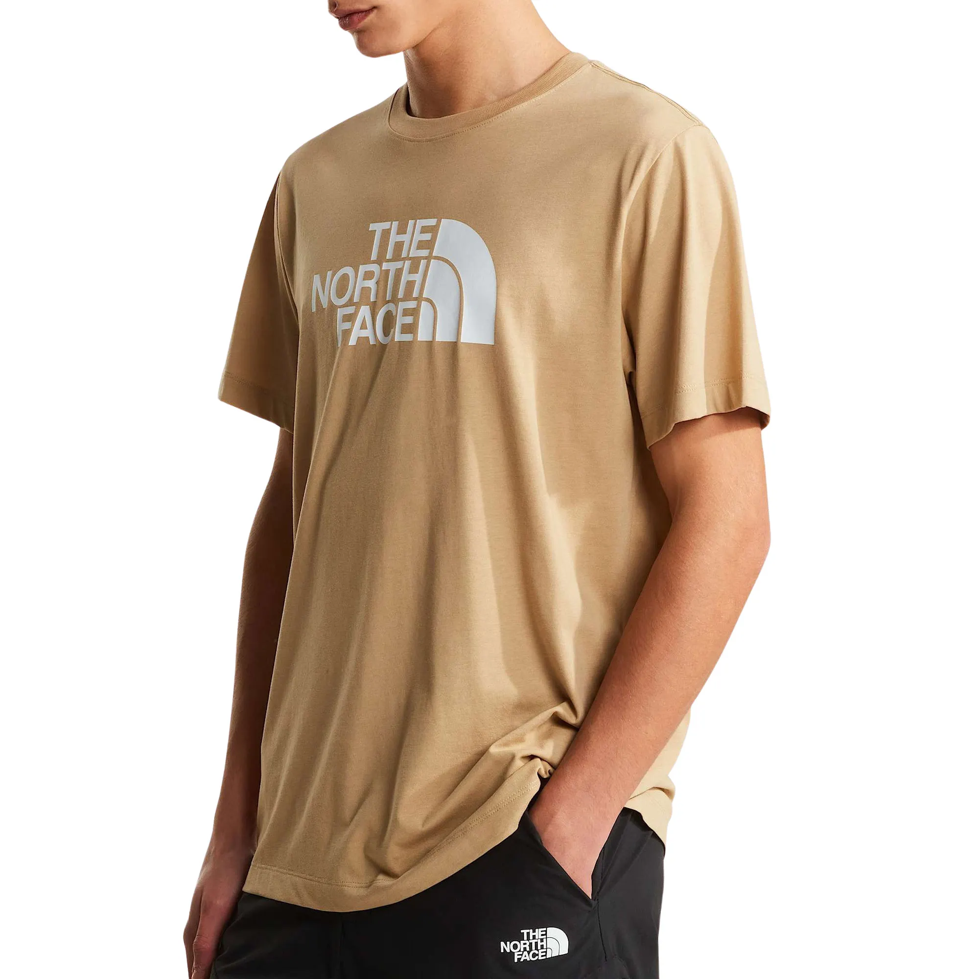 The North Face Evolution Half Dome T-Shirt Heren