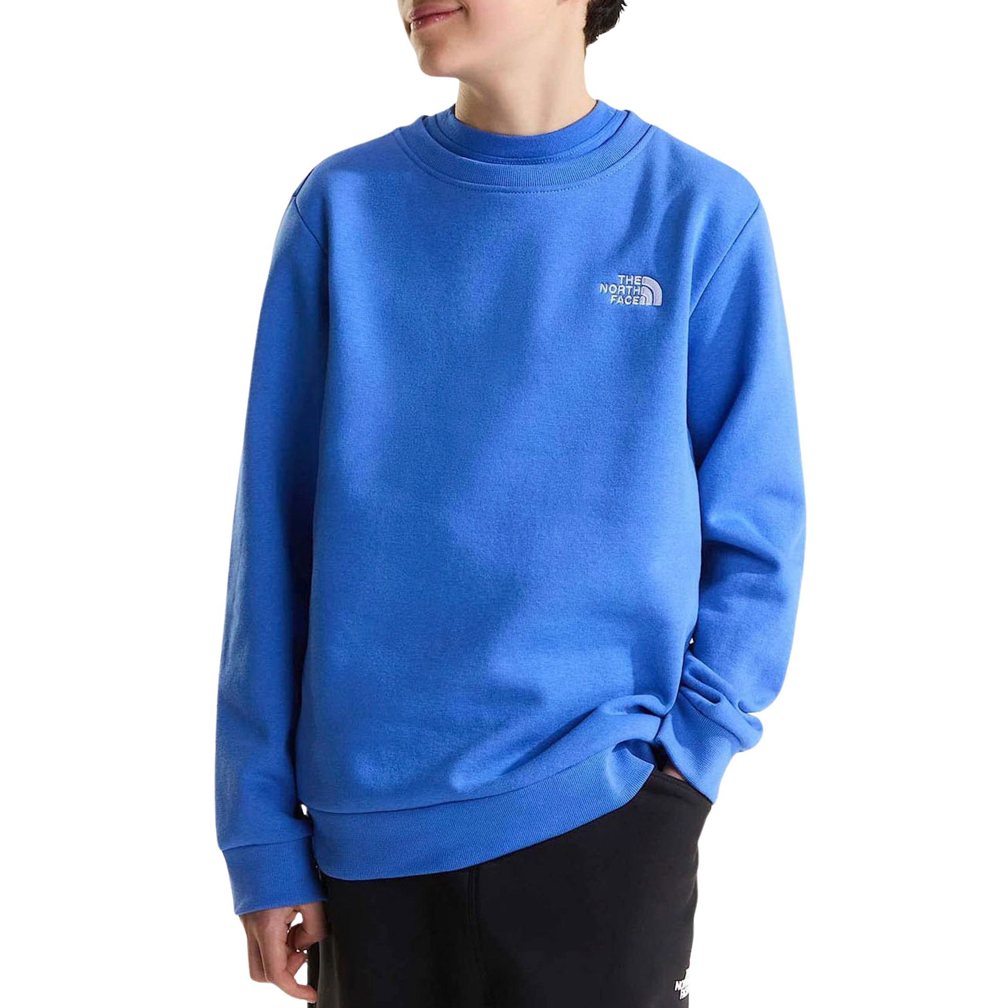 Pull The North Face Evolution Simple Dome Enfants