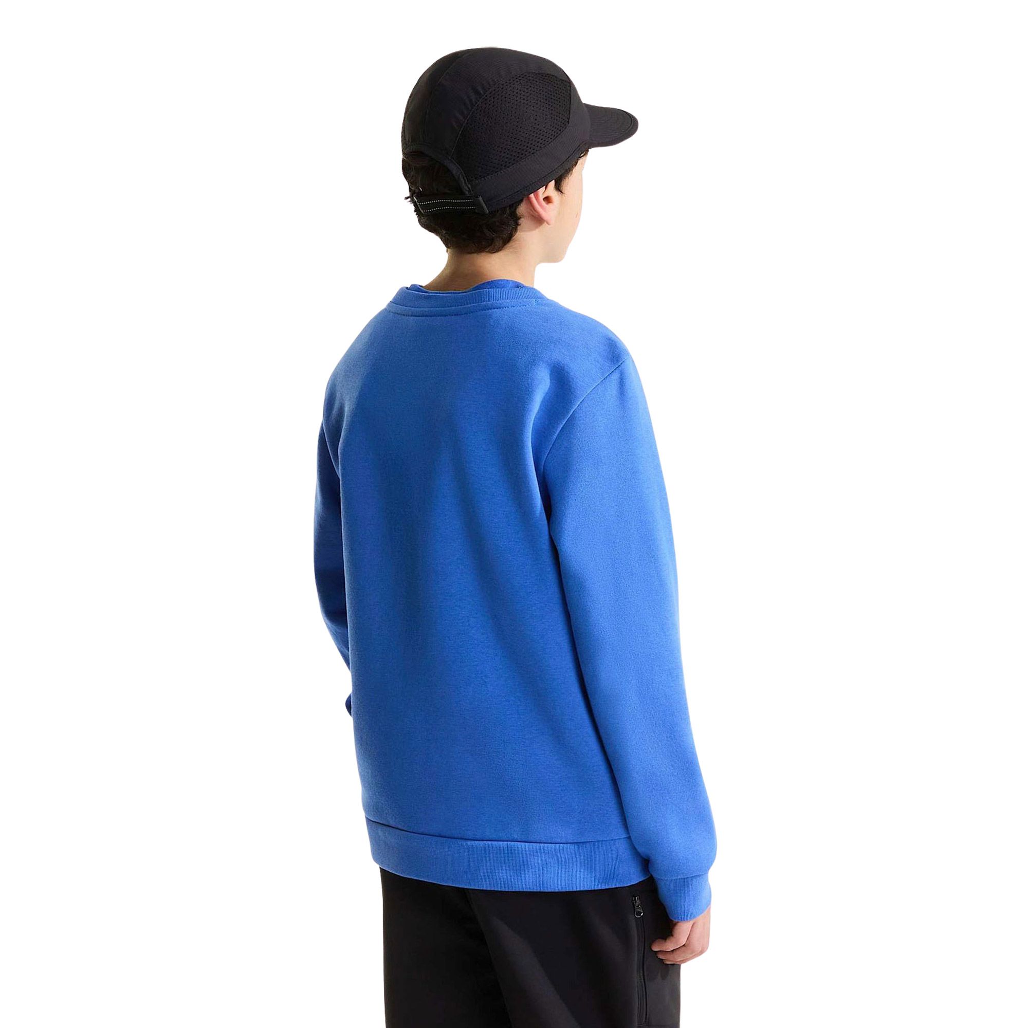 Pull The North Face Evolution Simple Dome Enfants