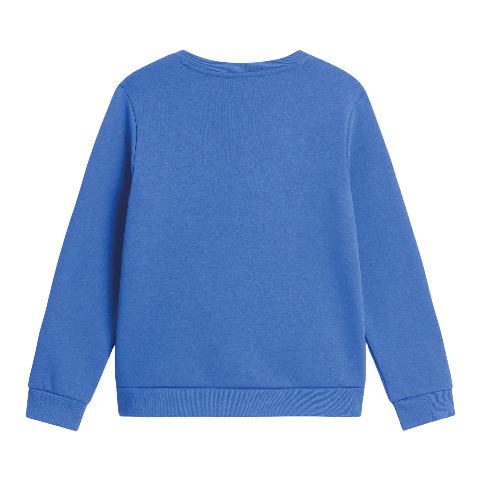 Pull The North Face Evolution Simple Dome Enfants
