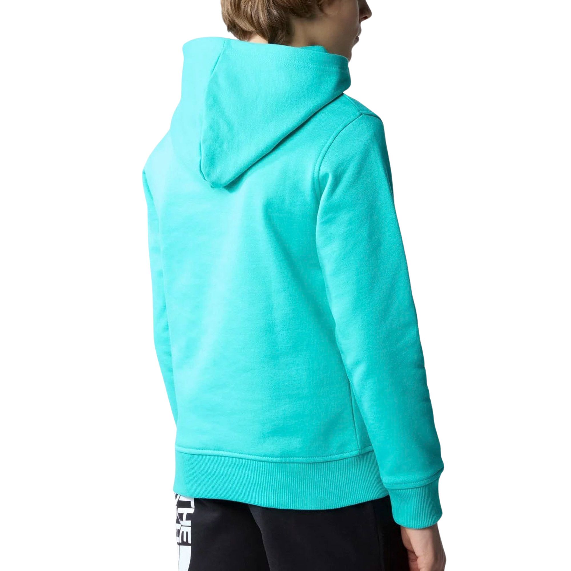 The North Face Drew Peak Hoodie Junior
