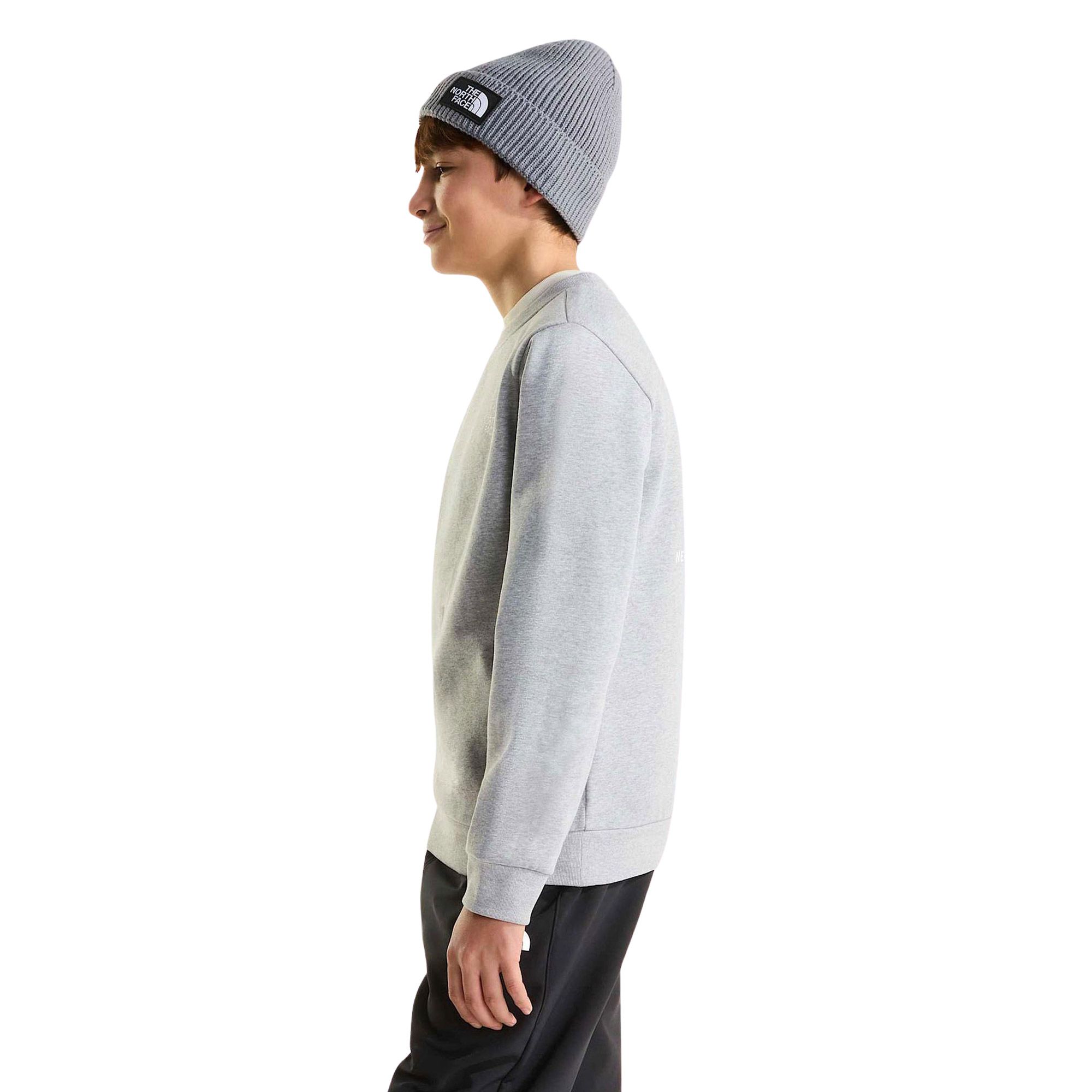 Pull The North Face Evolution Box NSE Enfants