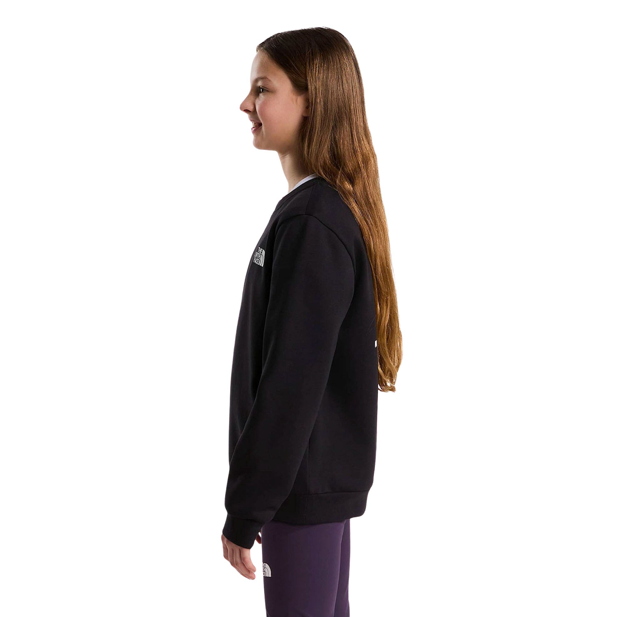 Pull The North Face Evolution Box NSE Enfants