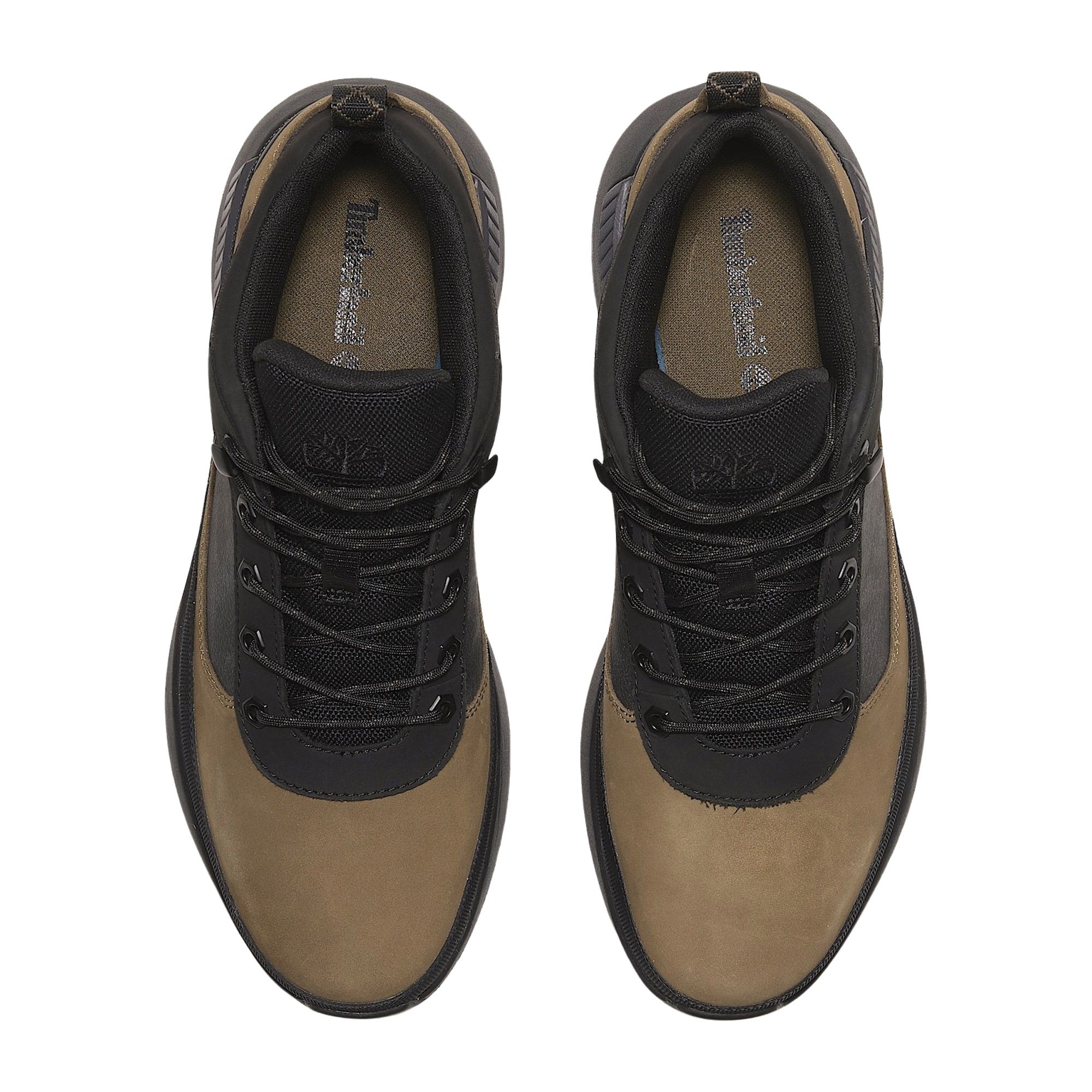 Timberland Field Trekker Low Shoes Men | Plutosport