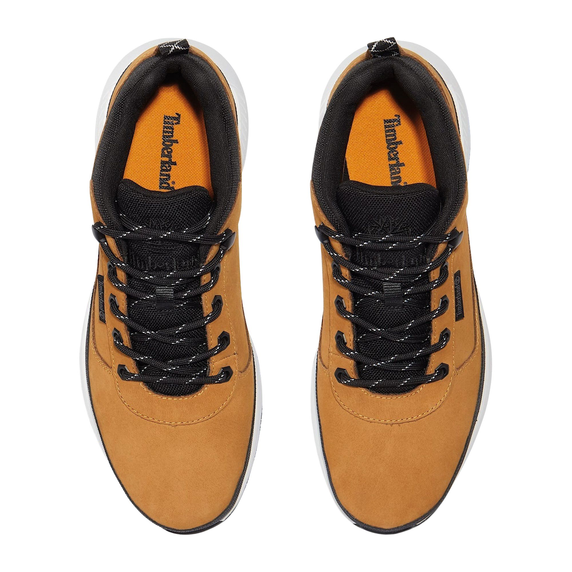 Timberland Field Trekker Low Schoenen Heren