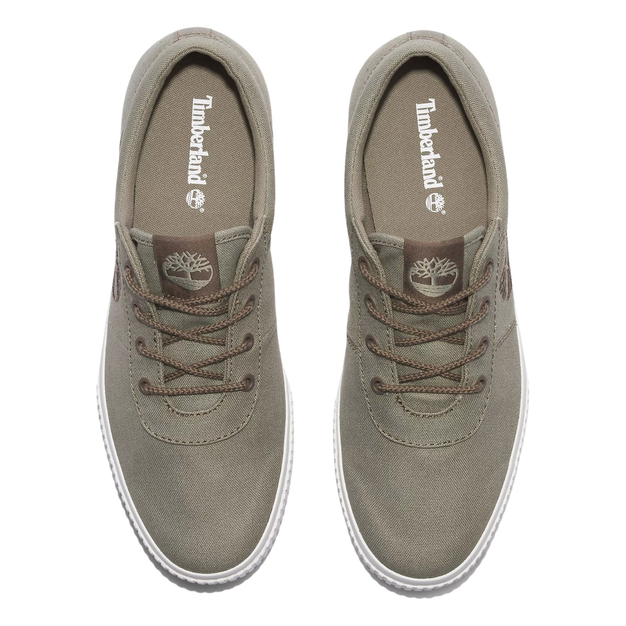 Timberland Mylo Bay Low Lace Up Sneakers Heren