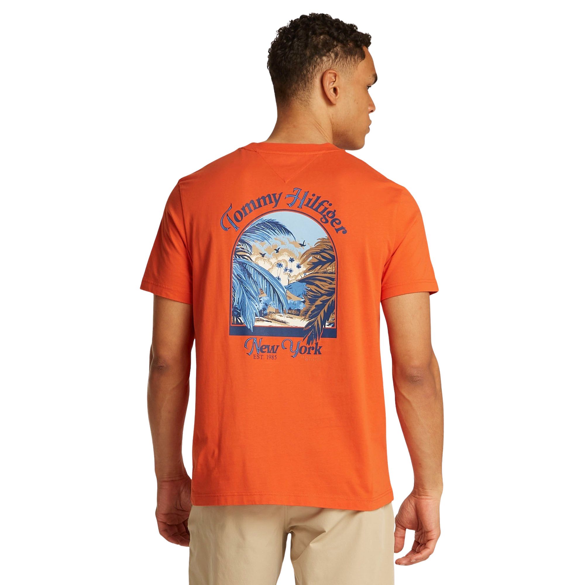 T-shirt Tommy Hilfiger Relaxed Back Summer Photo Hommes