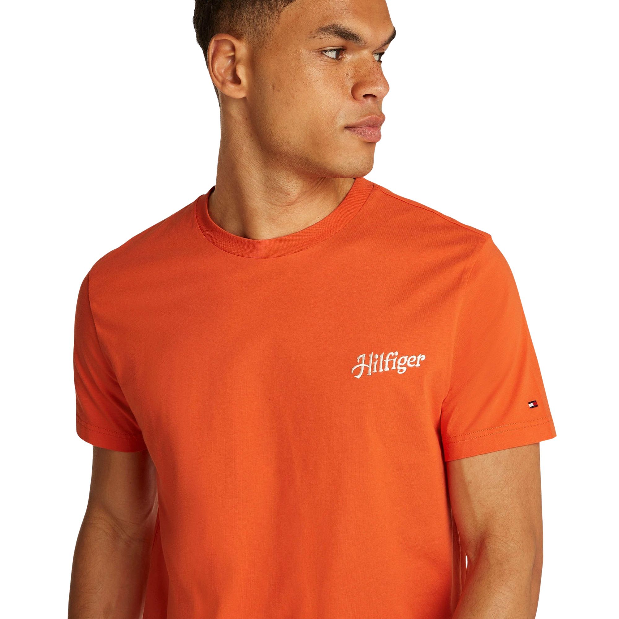 T-shirt Tommy Hilfiger Relaxed Back Summer Photo Hommes