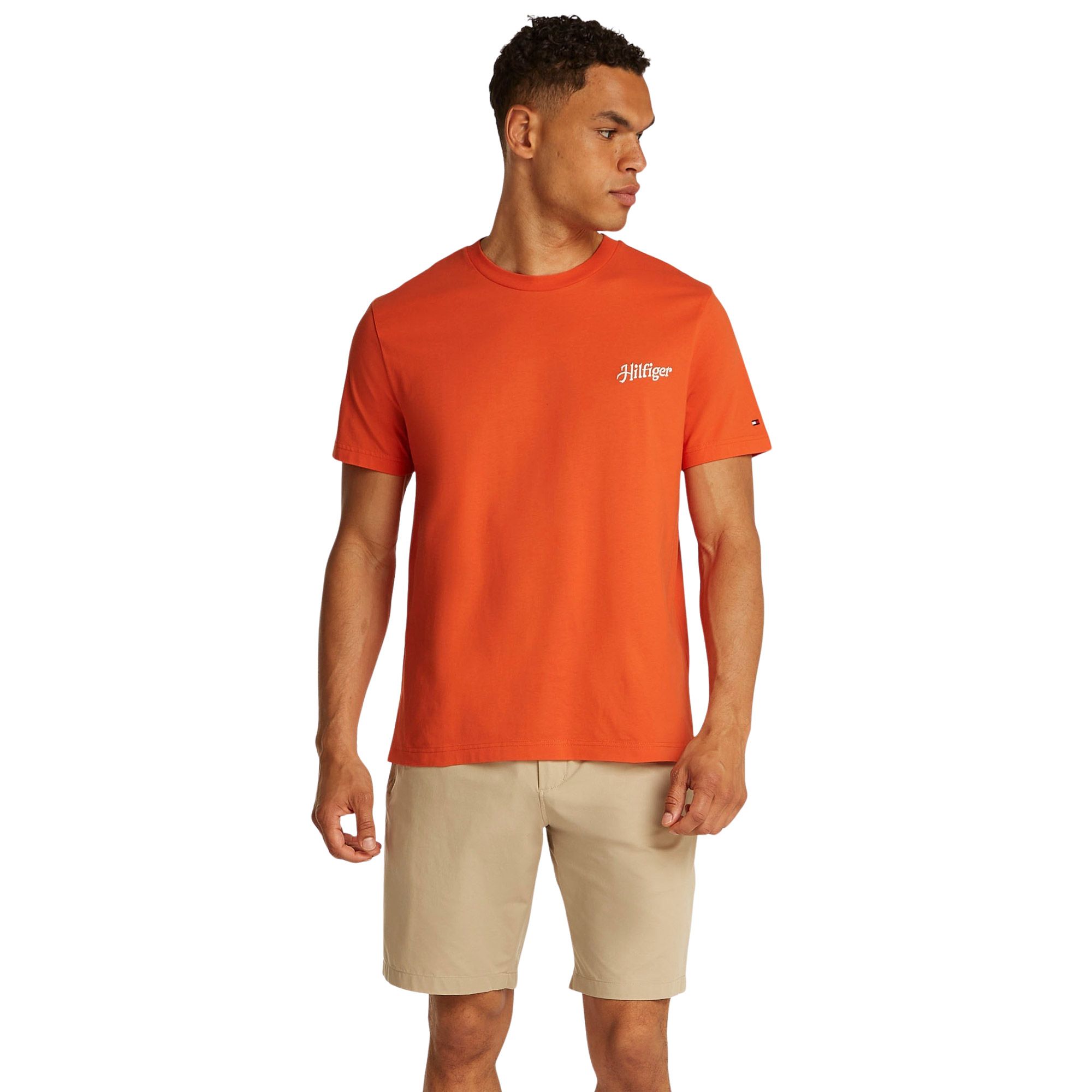 T-shirt Tommy Hilfiger Relaxed Back Summer Photo Hommes