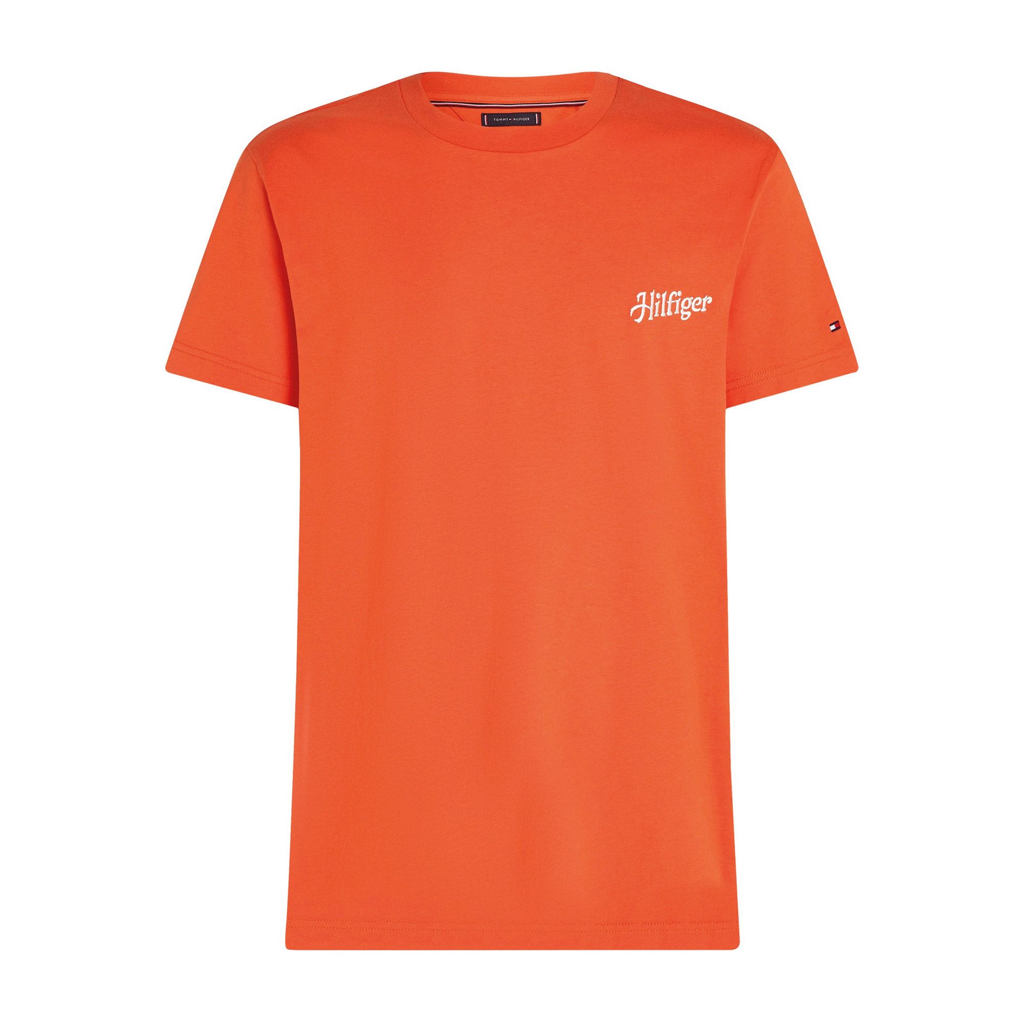 T-shirt Tommy Hilfiger Relaxed Back Summer Photo Hommes