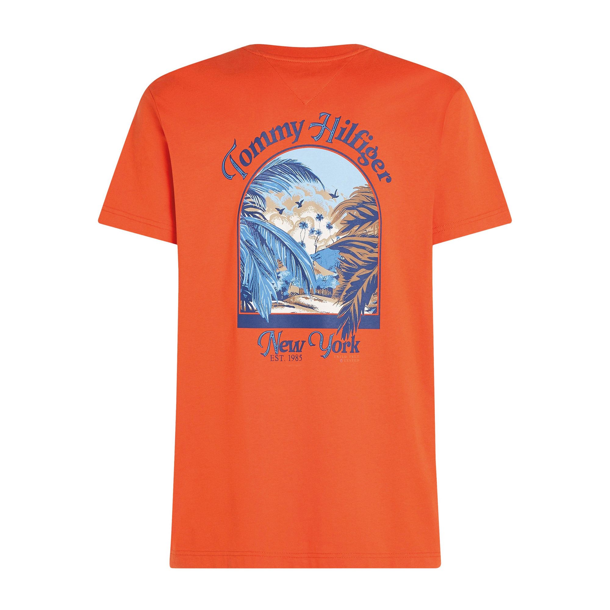 T-shirt Tommy Hilfiger Relaxed Back Summer Photo Hommes
