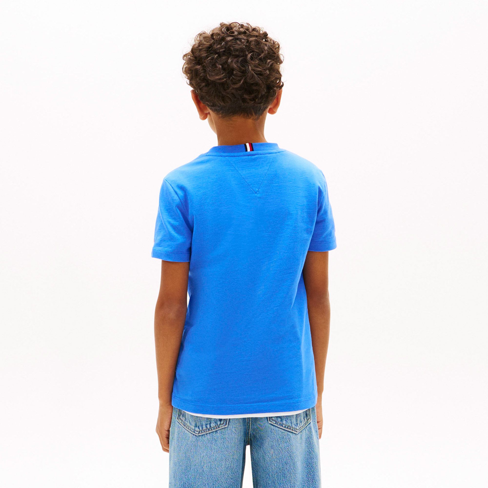Tommy Hilfiger Wavy Flag T-shirt Junior