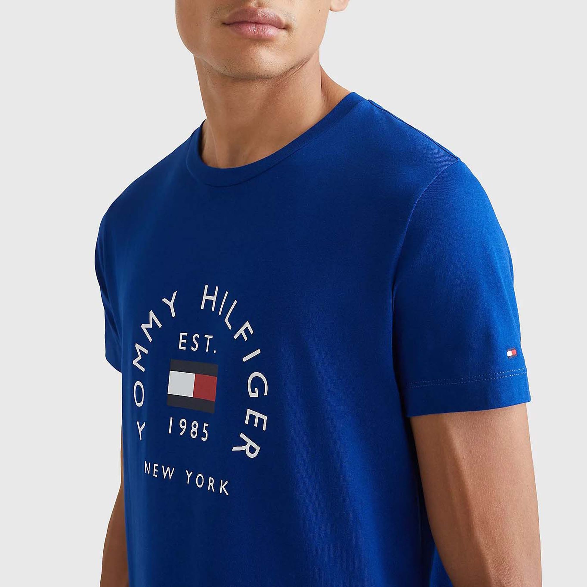 Tommy Hilfiger Flag Arch Shirt Heren