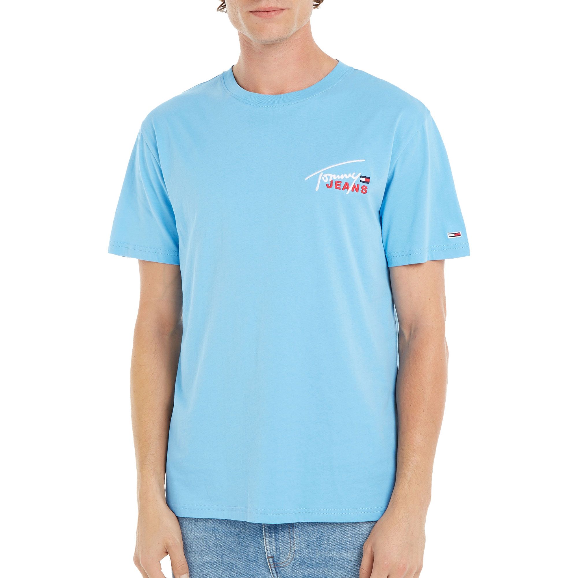 Tommy Hilfiger Classic Graphic Signature Shirt Heren