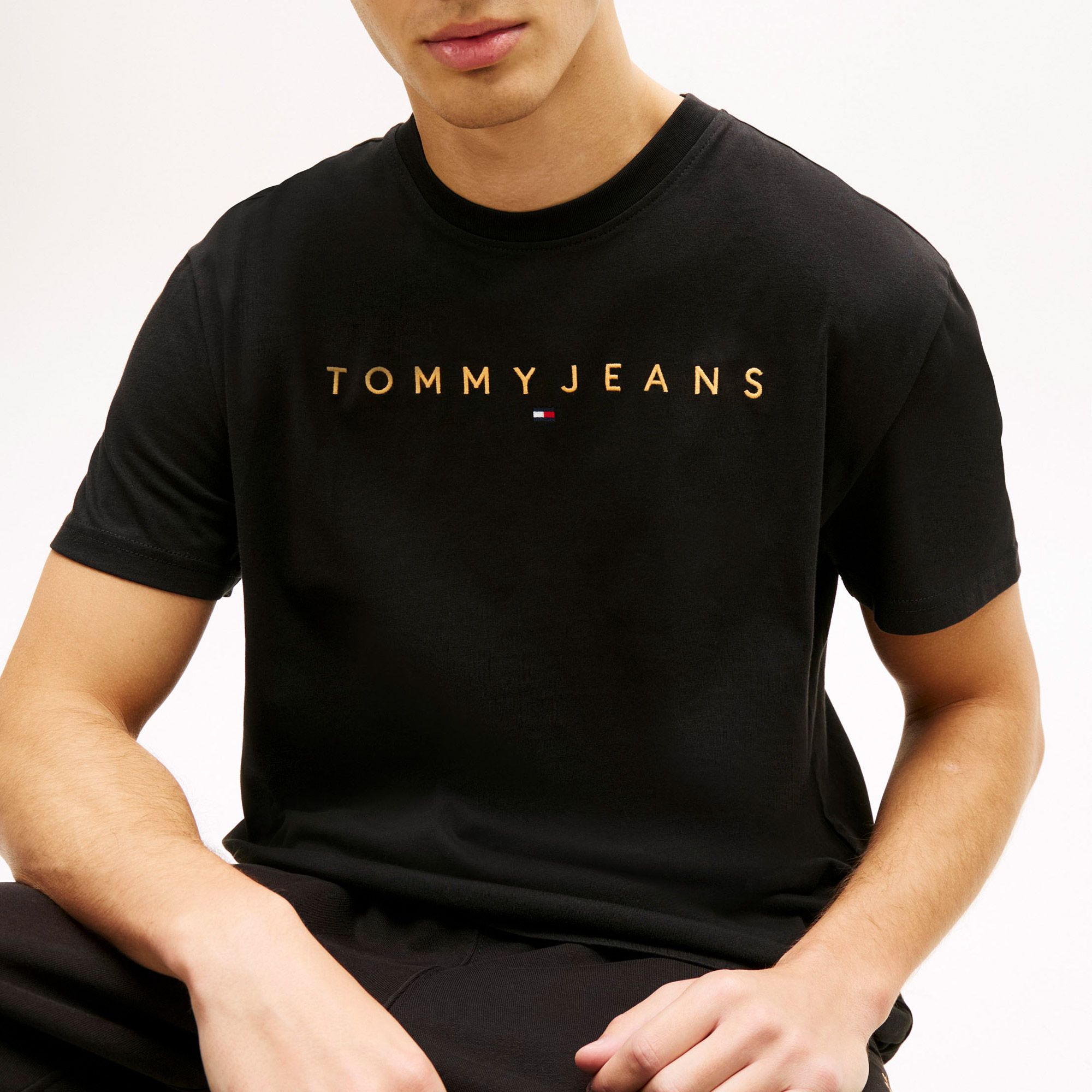 Tommy Hilfiger Regular Linear Logo Embroidery Shirt Heren