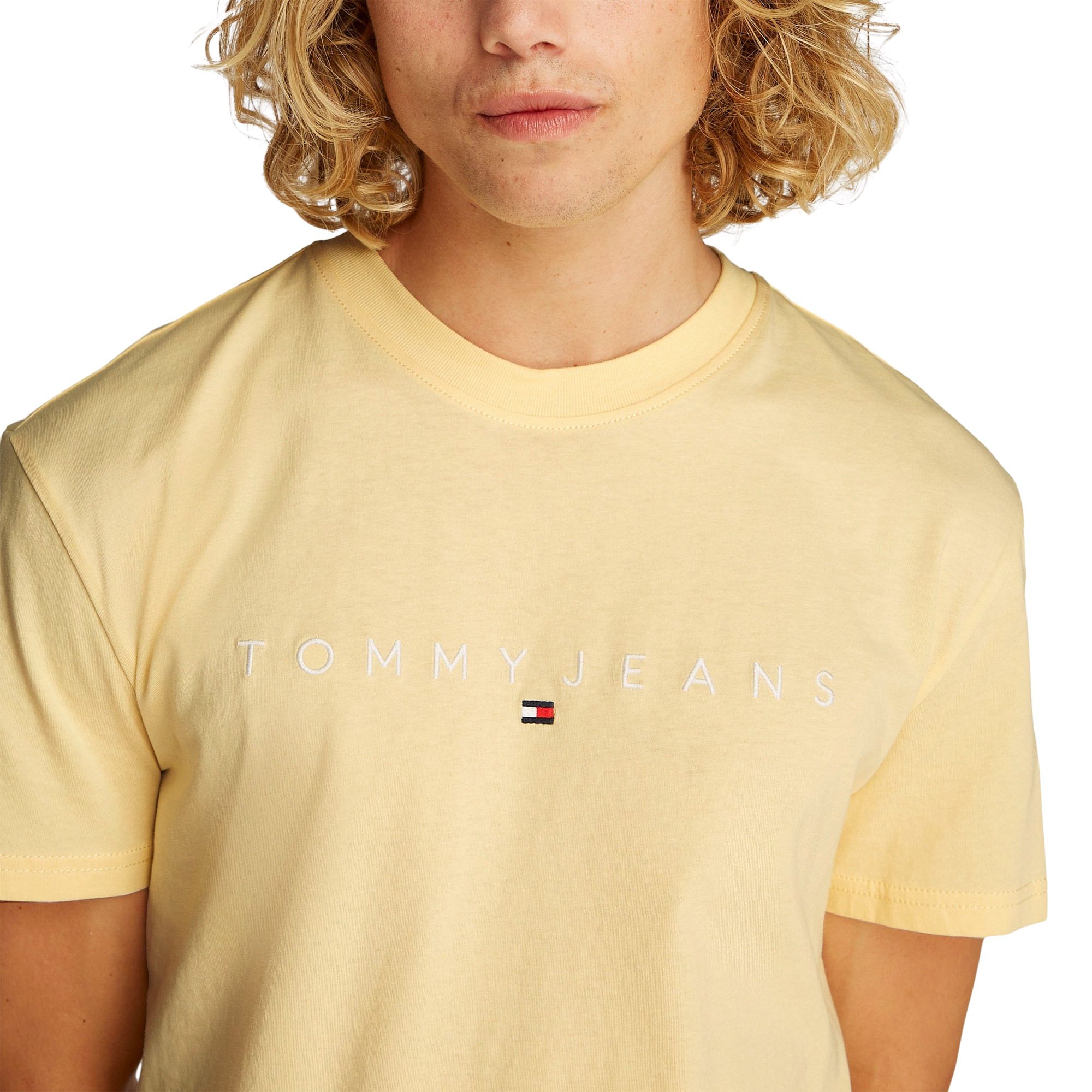 Tommy Hilfiger Regular Linear Logo Embroidery Shirt Heren
