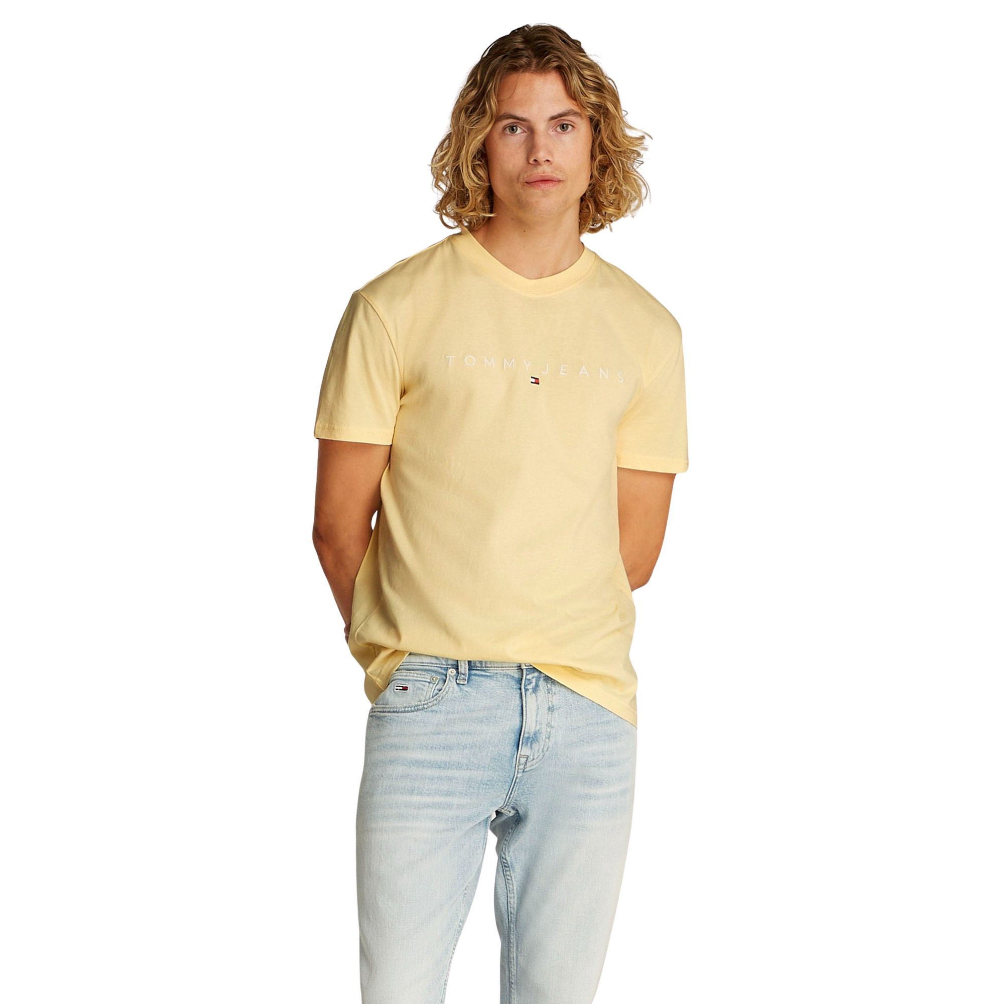 Tommy Hilfiger Regular Linear Logo Embroidery Shirt Heren