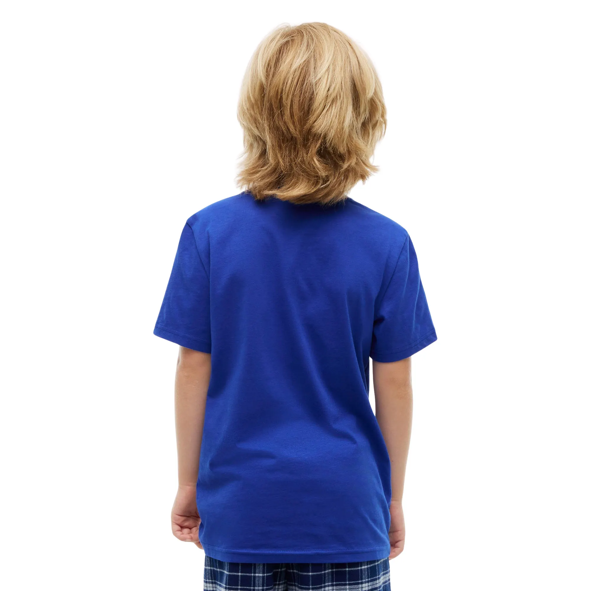 Tommy Hilfiger Cotton Crew Neck T-shirt Junior (2-pack)