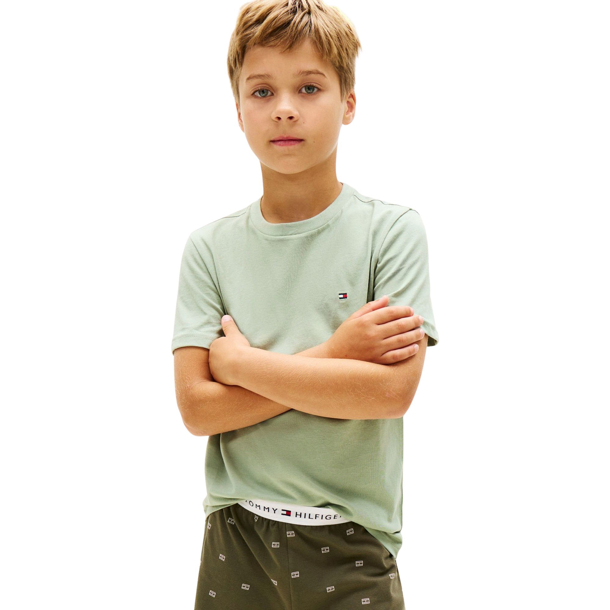 Tommy Hilfiger Cotton Crew Neck T-shirt Junior (2-pack)