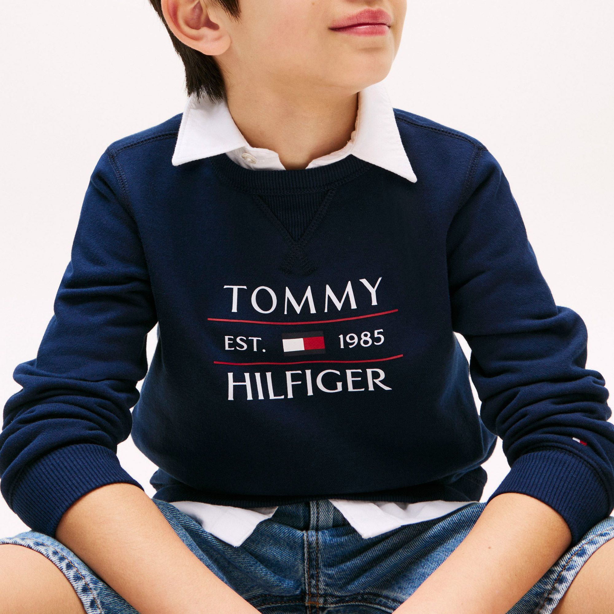 Tommy Hilfiger Flag Logo Sweater Junior
