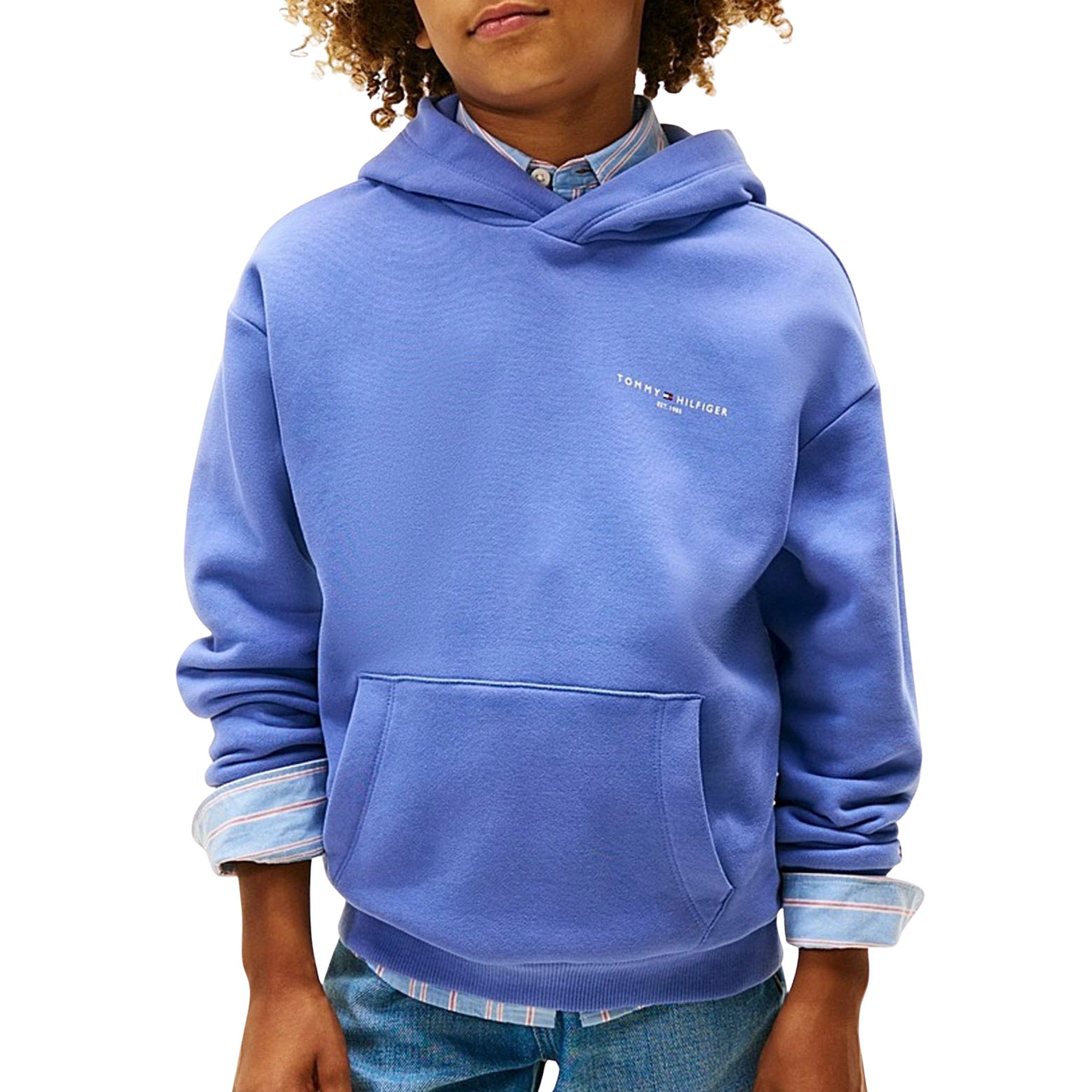 Tommy Hilfiger Corp Hoodie Junior