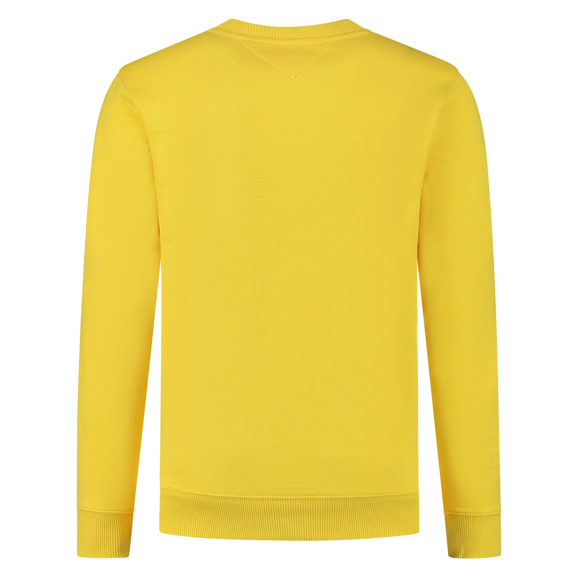 Tommy Hilfiger Regular Entry Graphic Sweater Heren